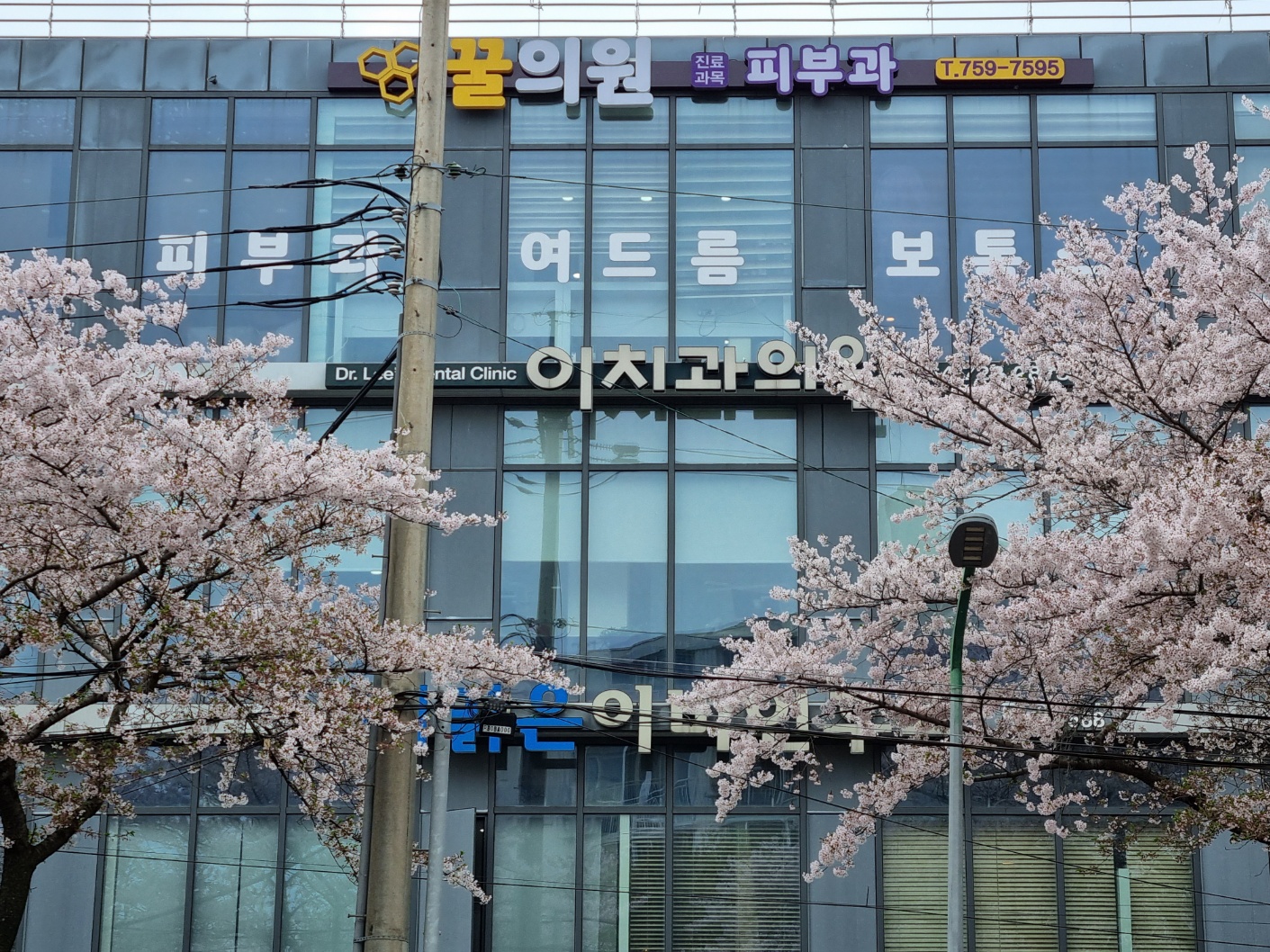 꿀의원 대표 이미지