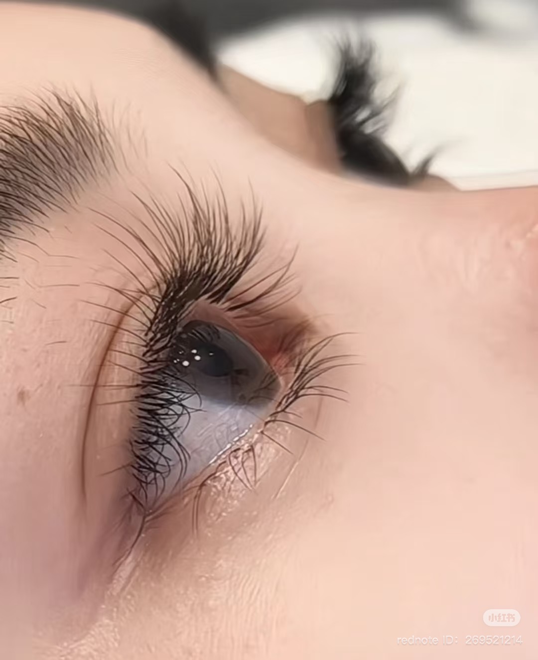 청담벨라속눈썹&왁싱&네일 대표 이미지