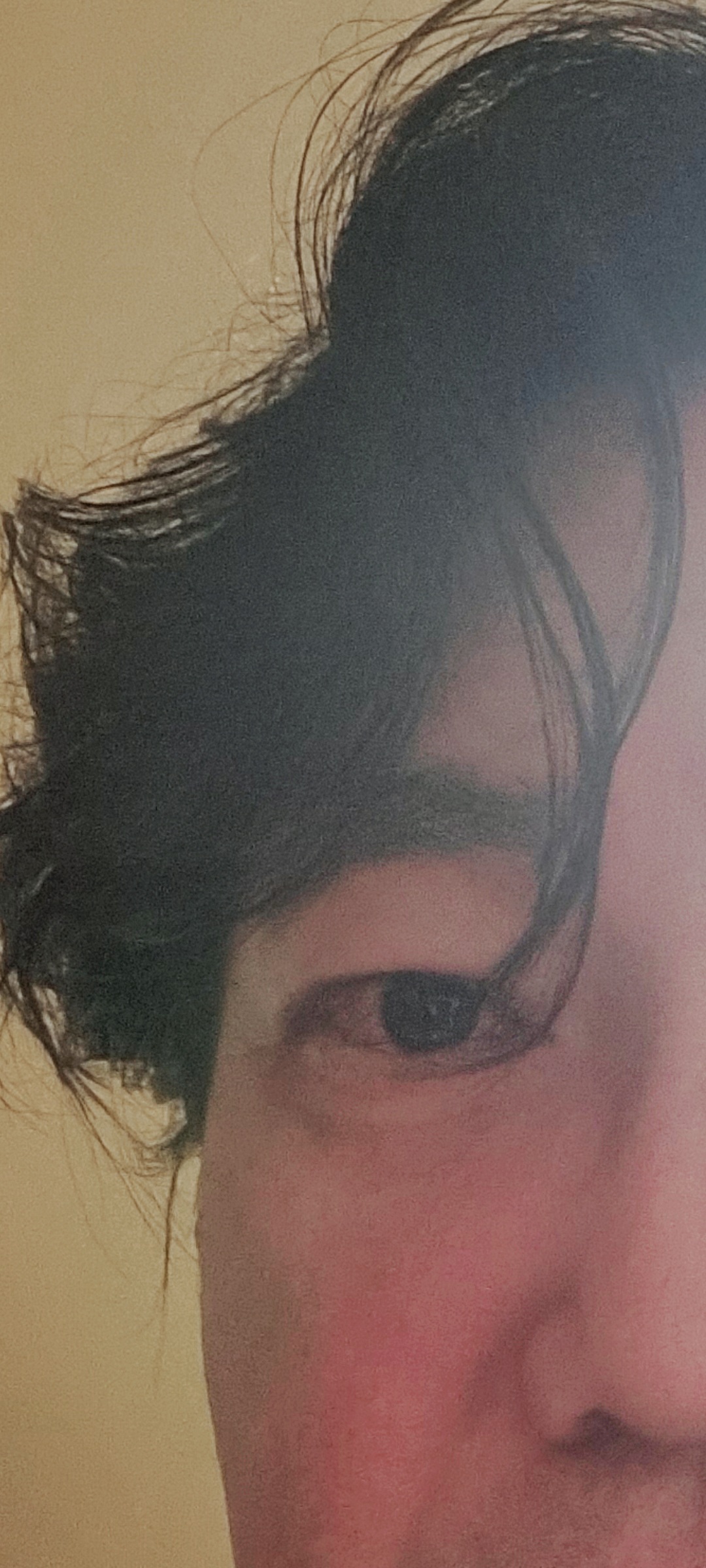 풍금 5