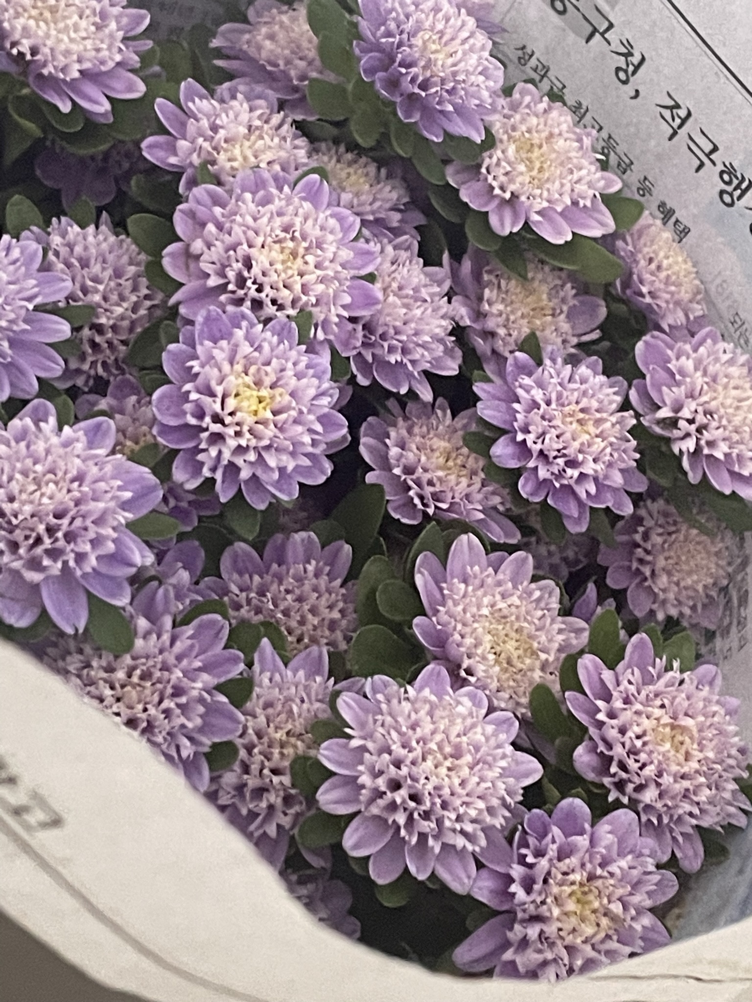 아뜰리에꽃숲