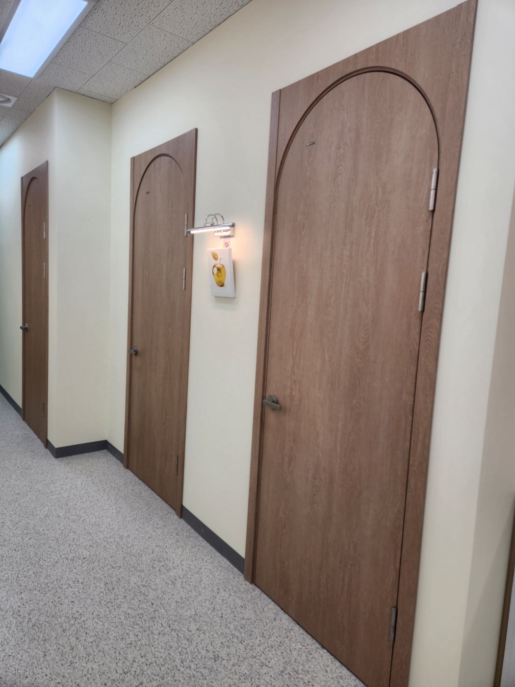 다솜심리상담센터 대표 이미지