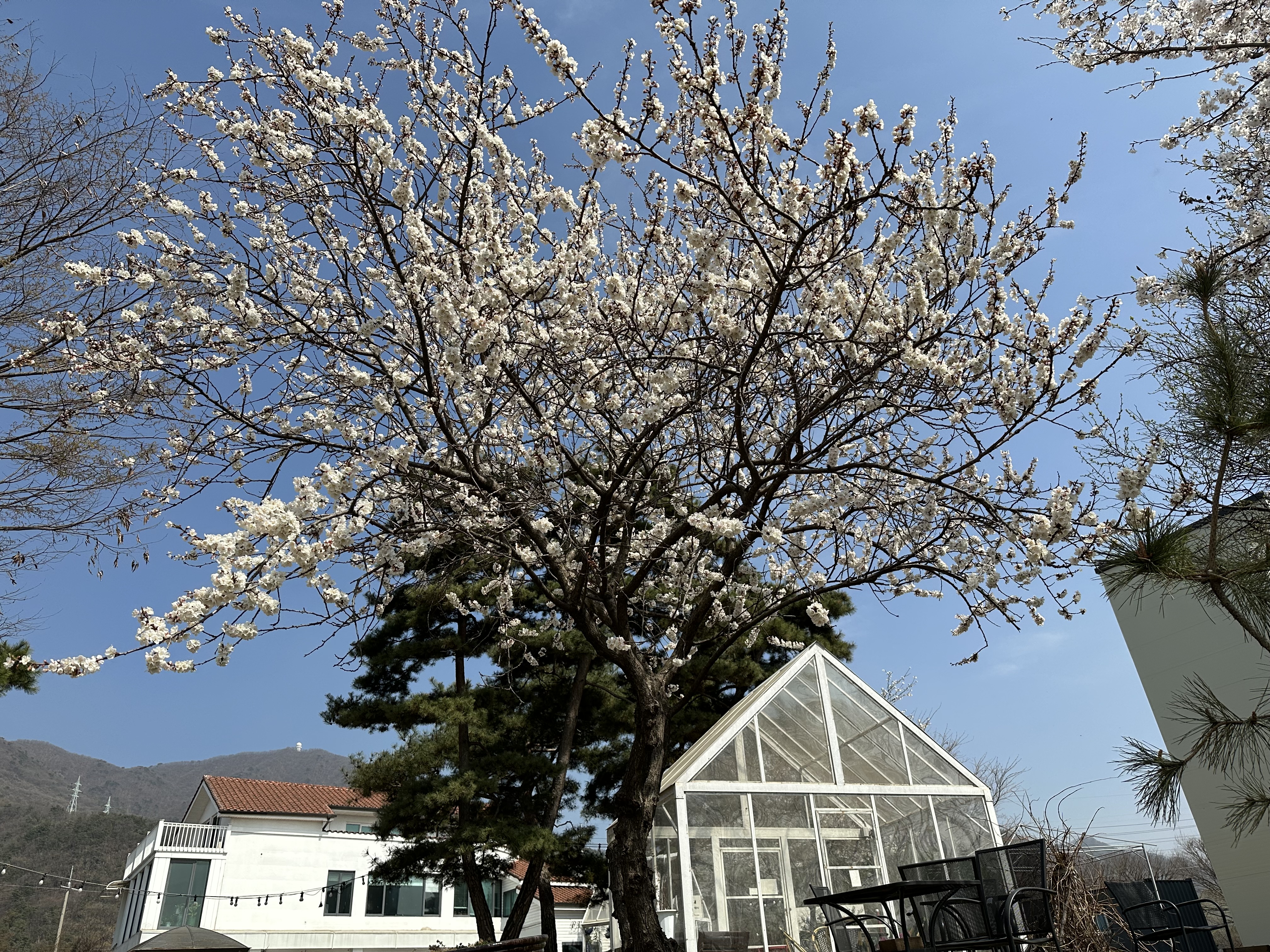 파크카페 사진 1