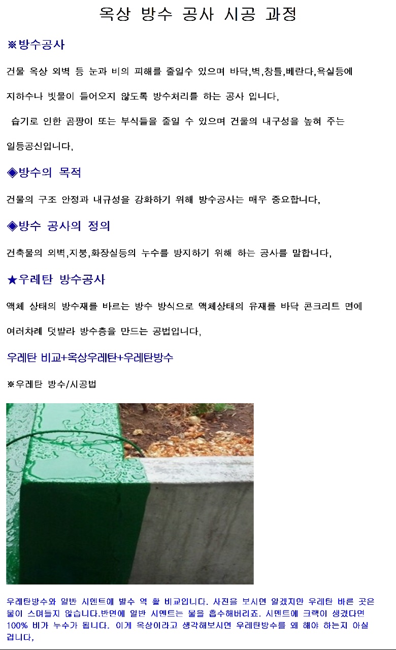 대성씨엔에스