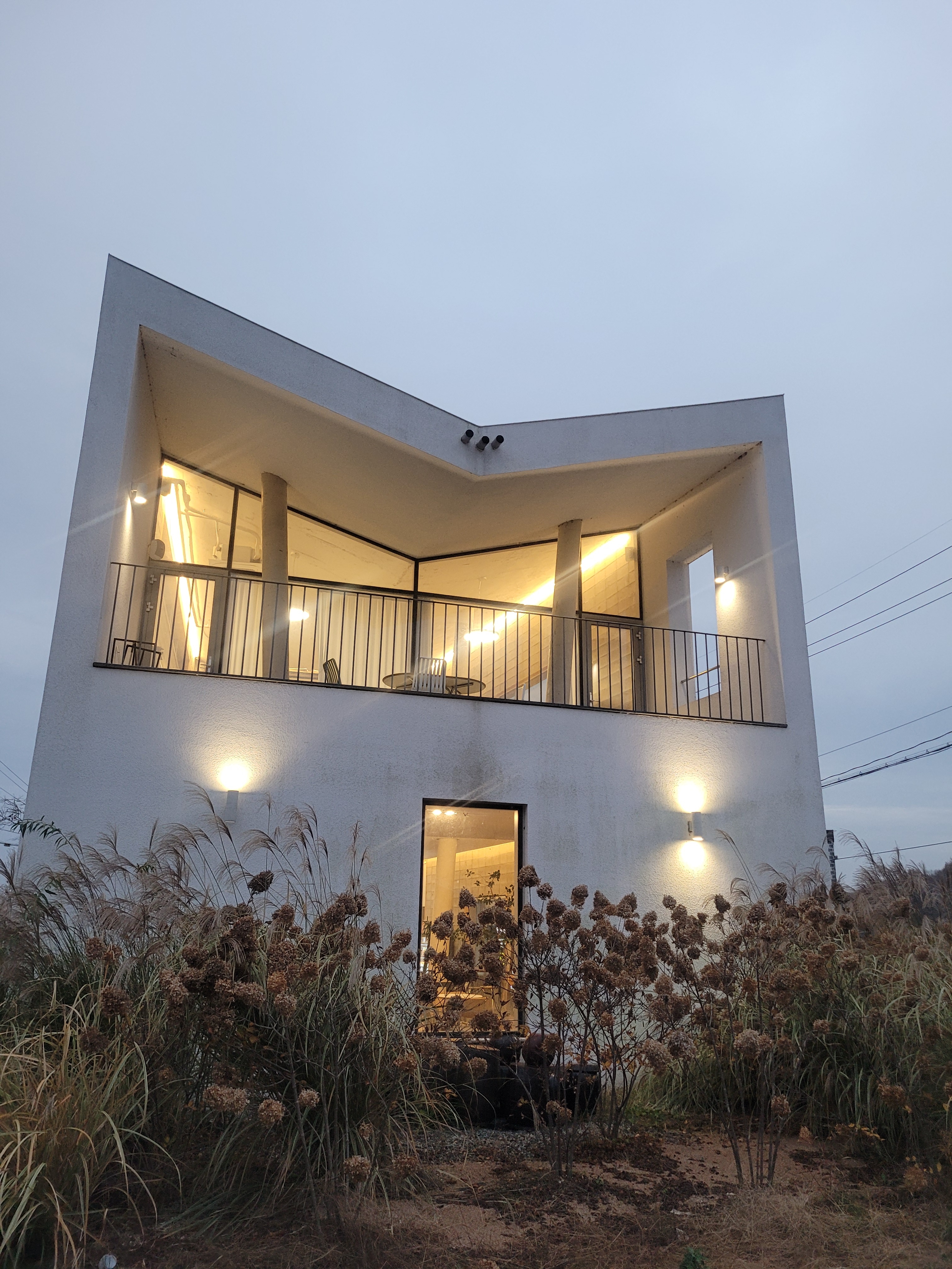 카페 담스 반려동물 동반 애견카페