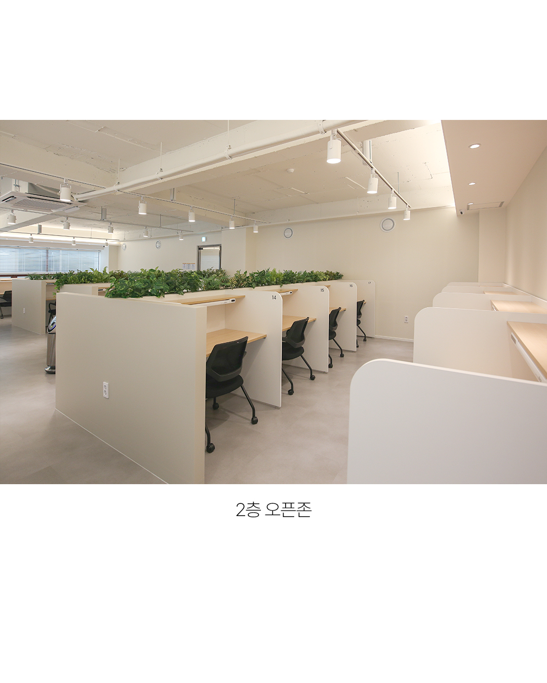 숨마3.0 스터디카페 시지본점 대표이미지
