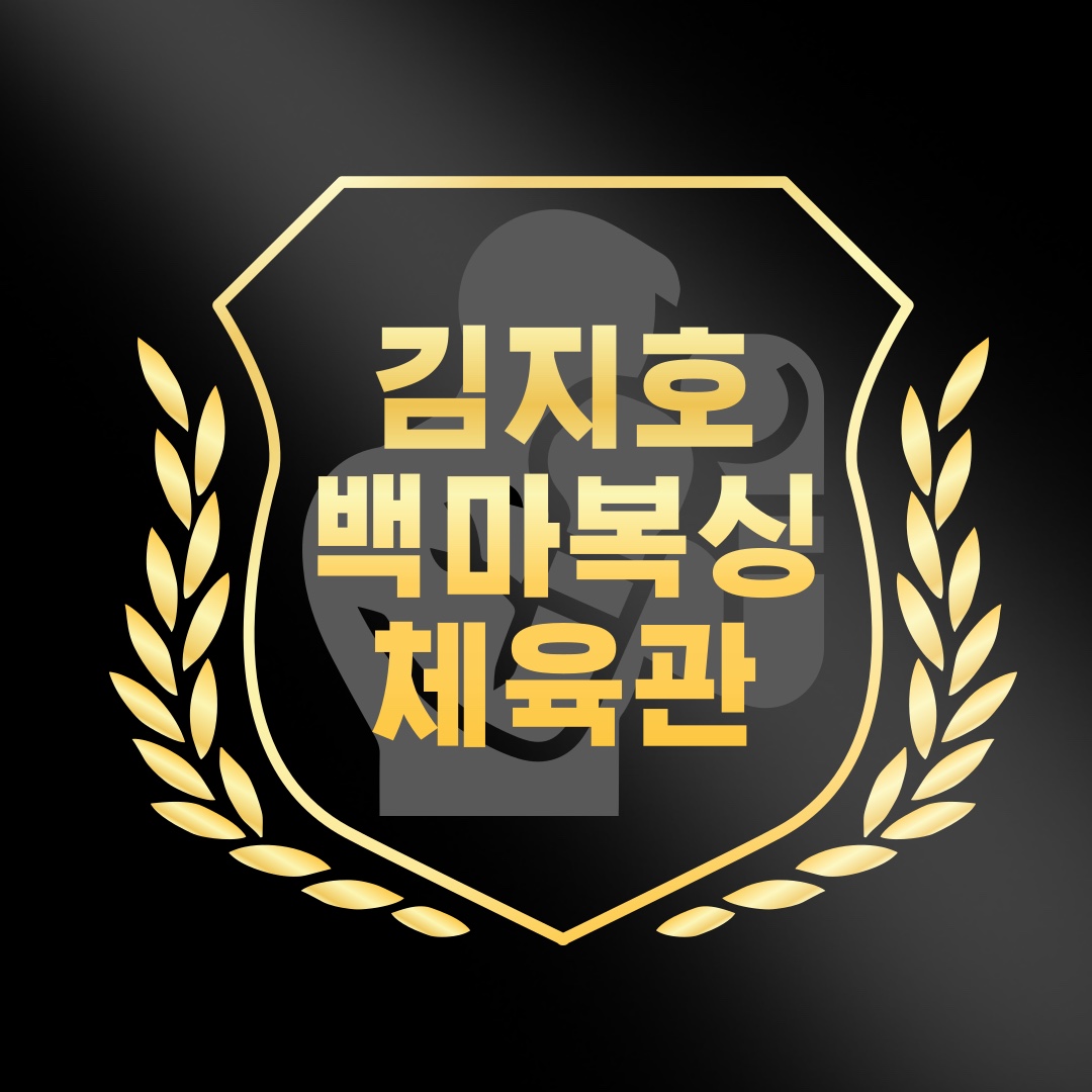경기도 고양시 일산동구 복싱체육관 김지호 백마복싱 내부 모습 4