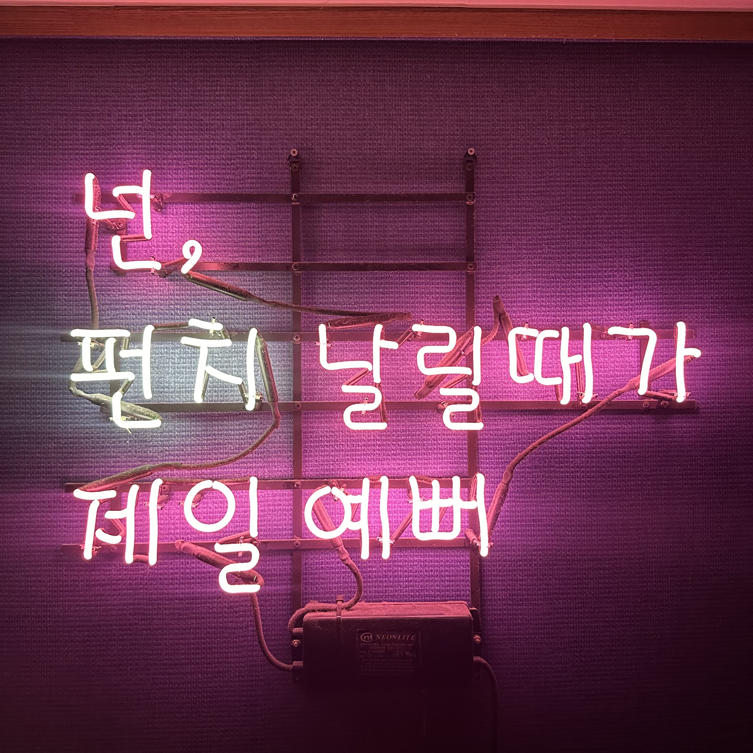 경기도 김포시 양촌읍 복싱체육관 박스 앤 짐 내부 모습 4