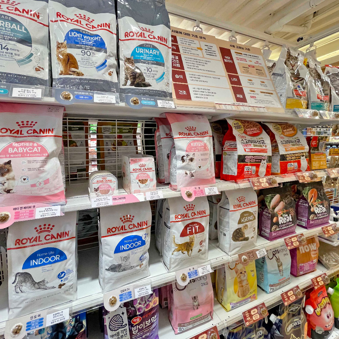 견생냥품 종로익선동점