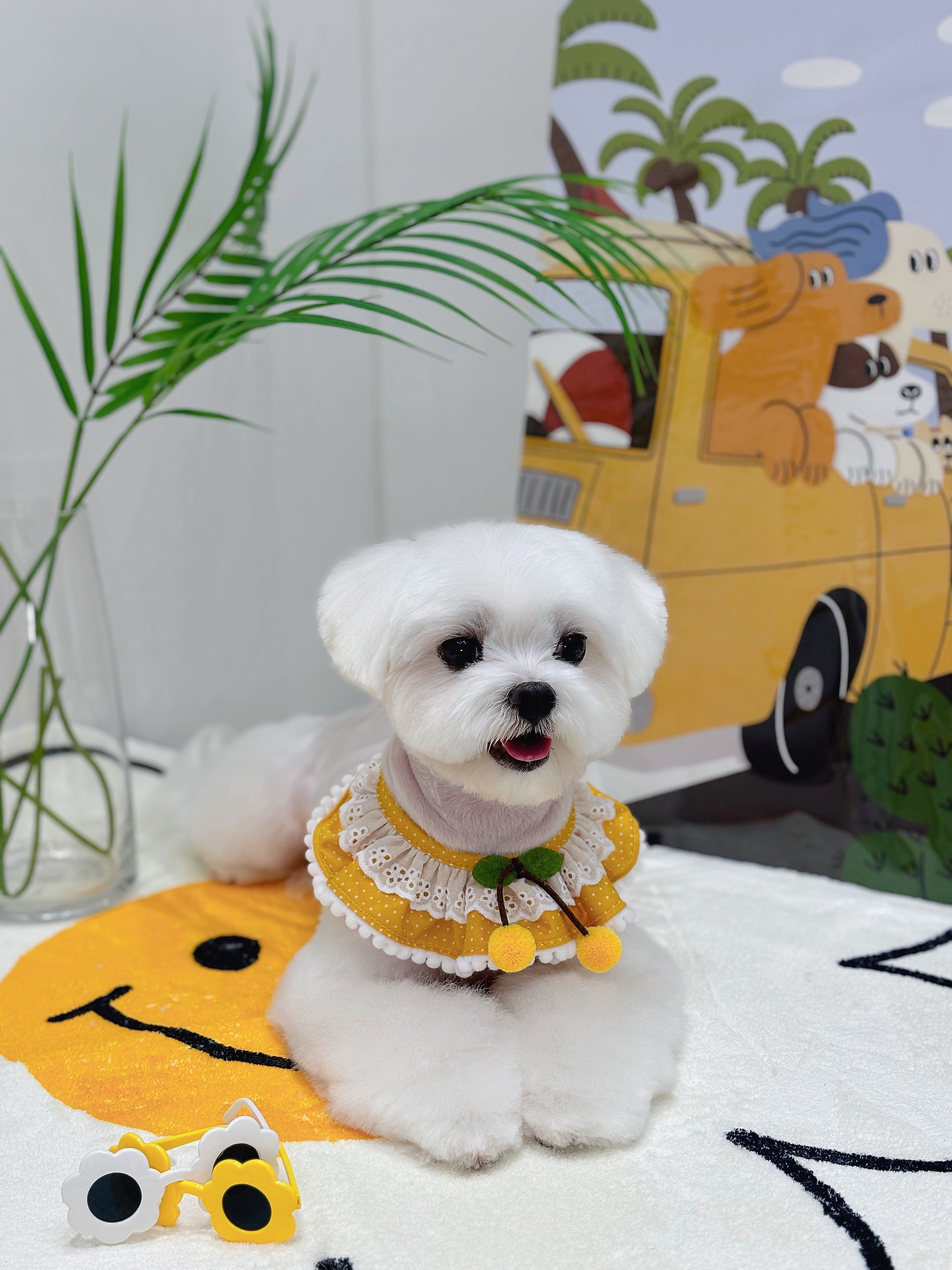 몽개몽개 대표 이미지