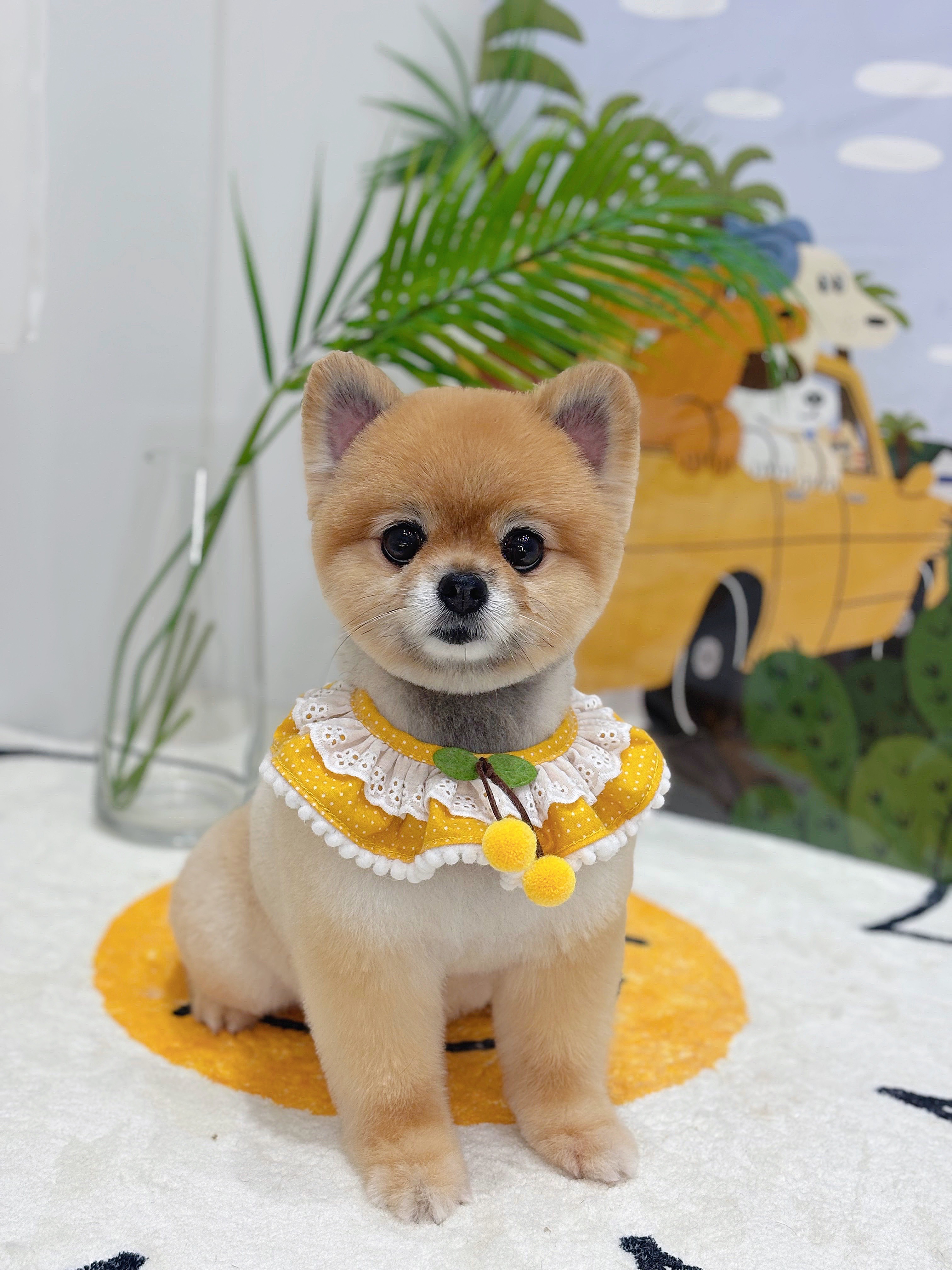몽개몽개 3