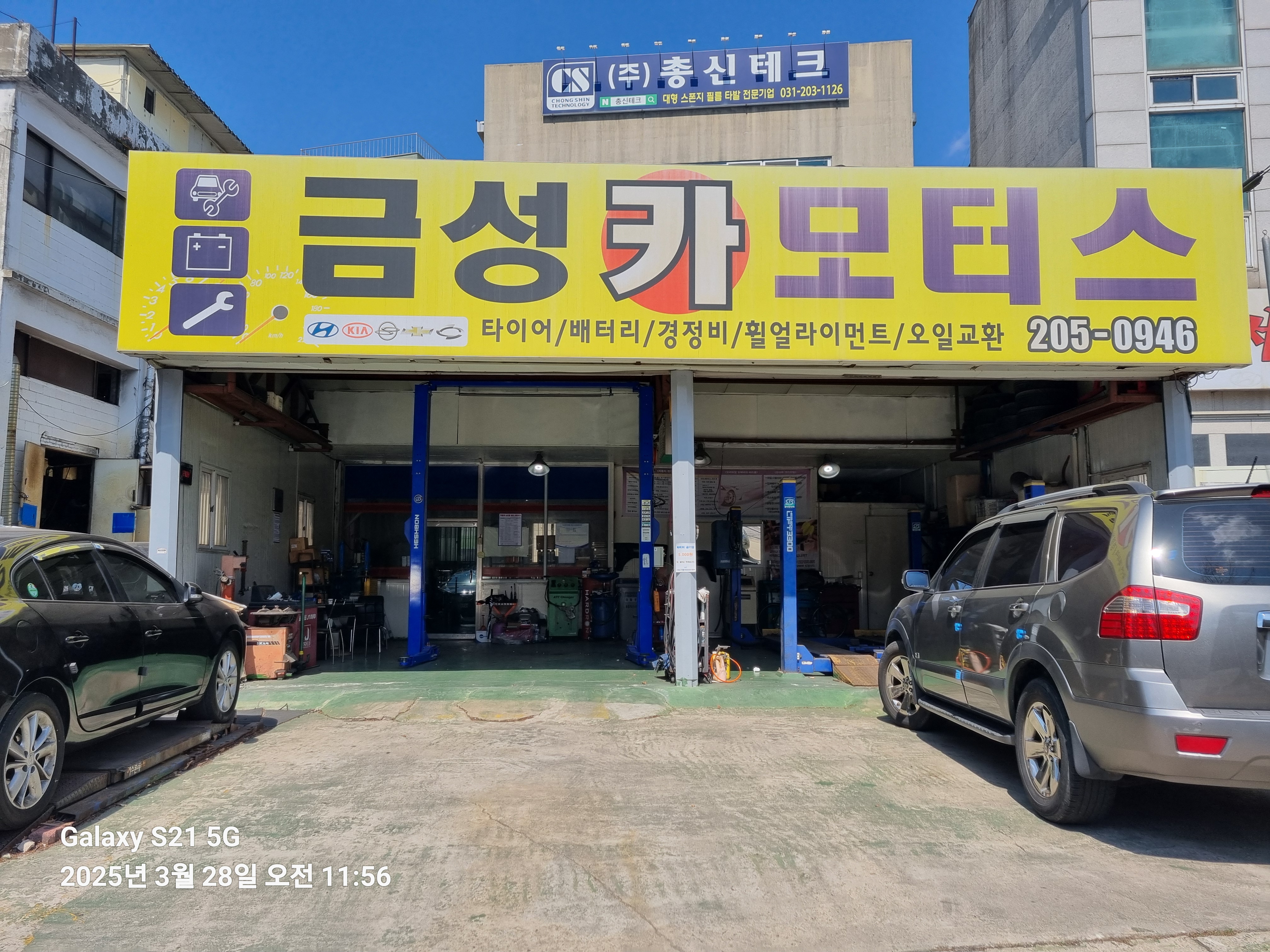금성카모터스