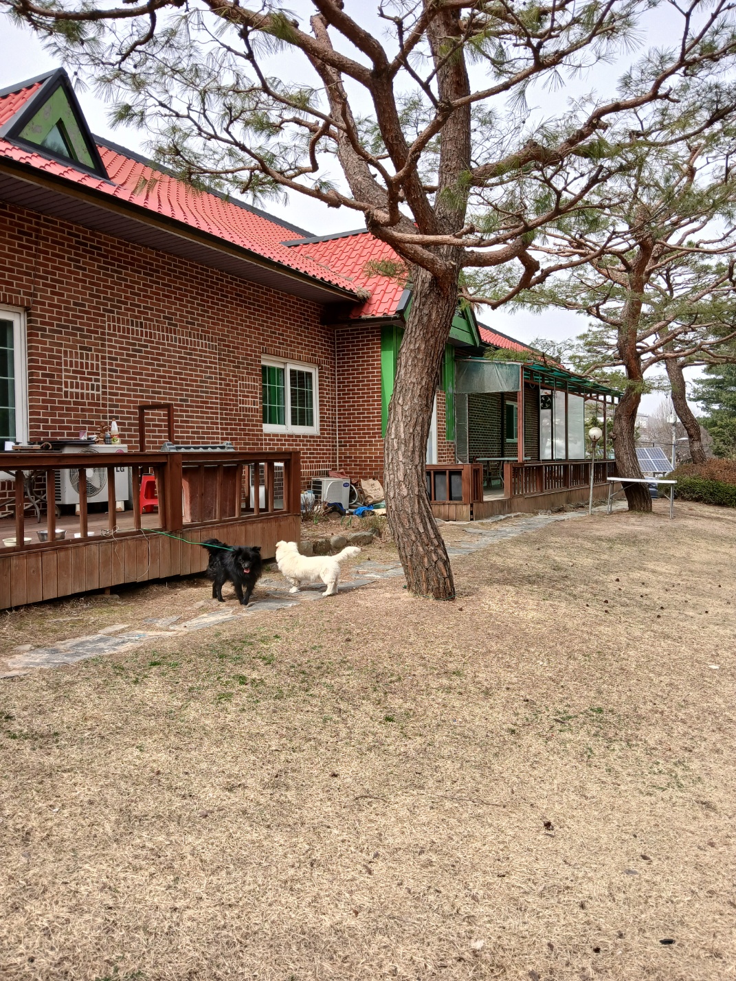 그린하우스펜션