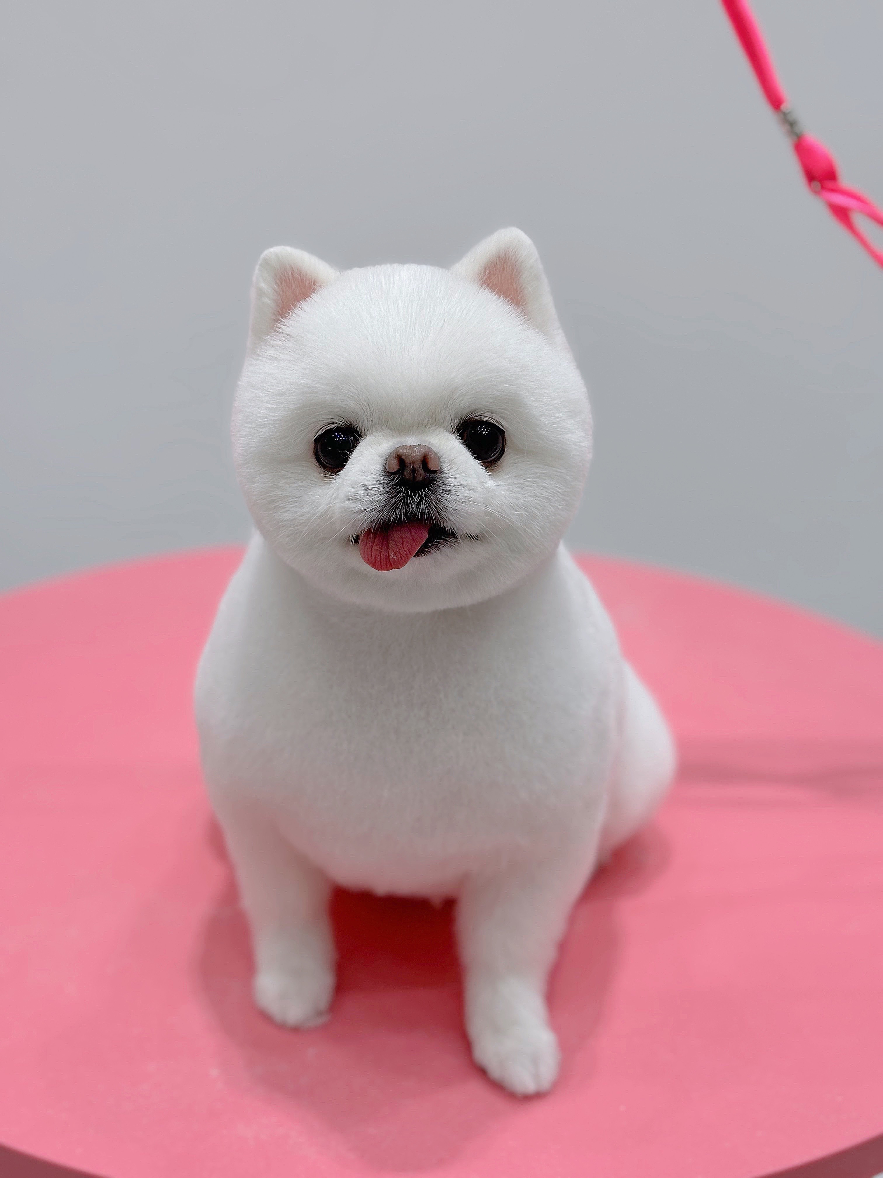 몽개몽개 2
