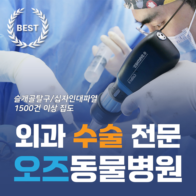수원오즈동물병원