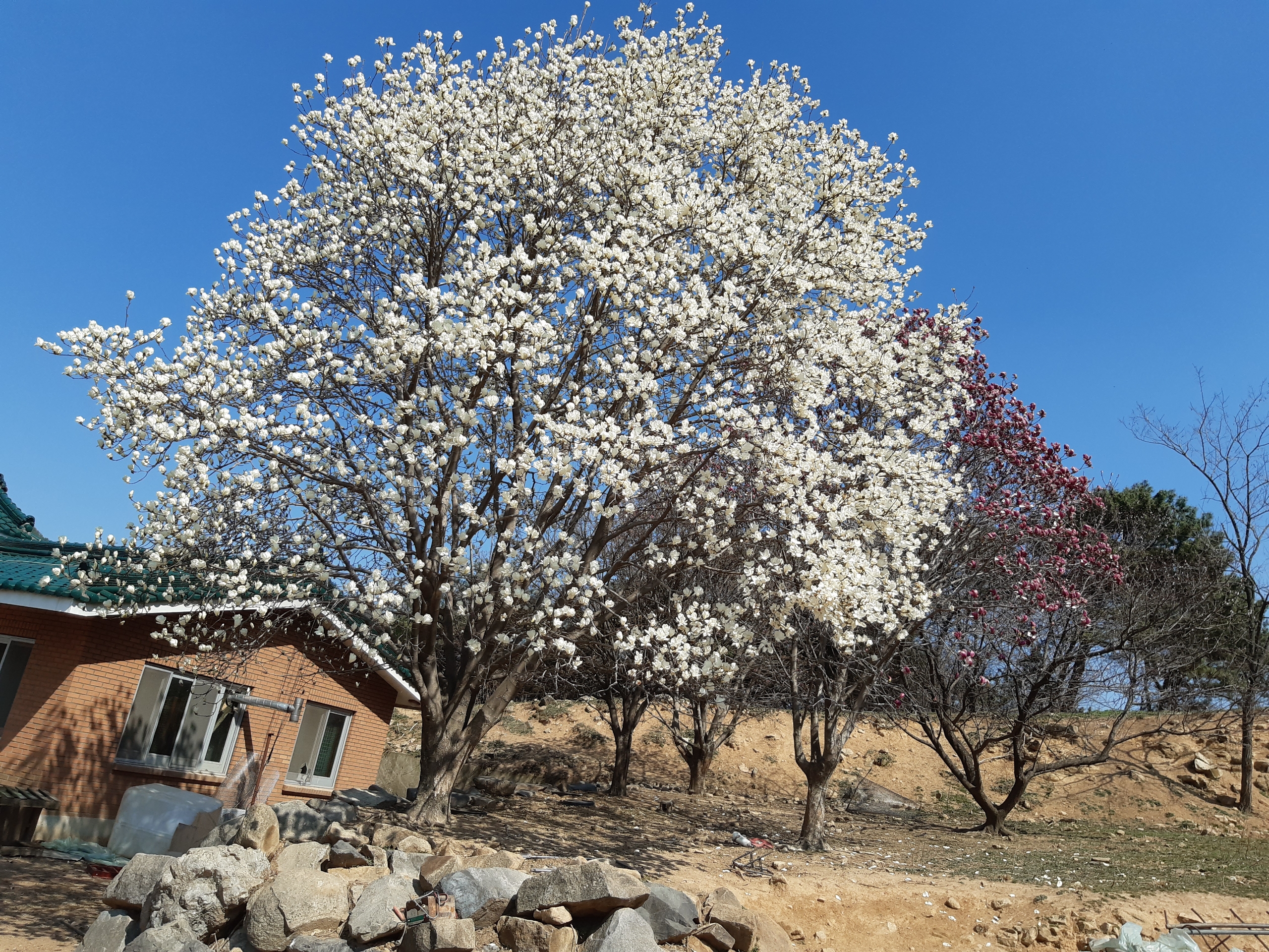 이명산사슴목장건강원