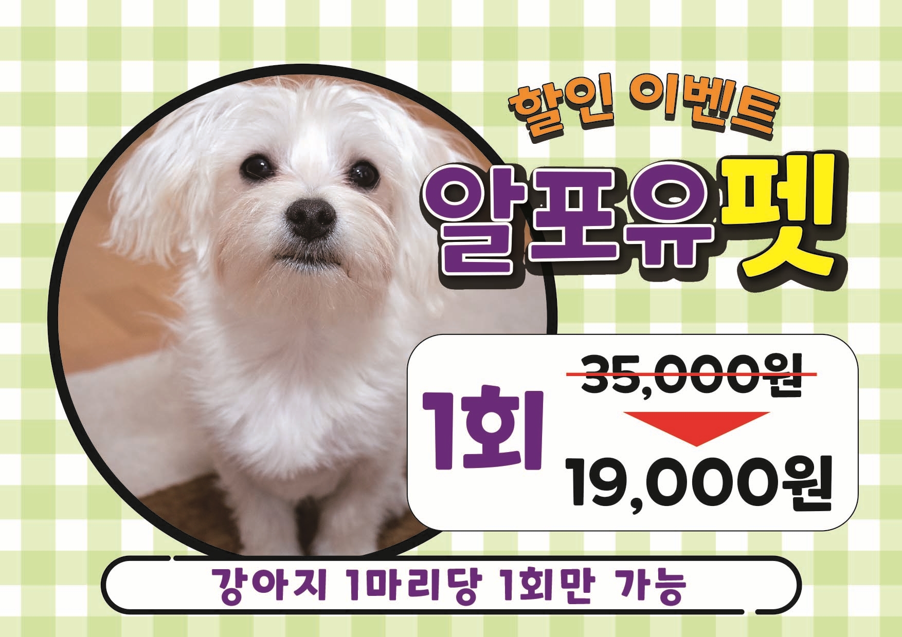 알포유펫