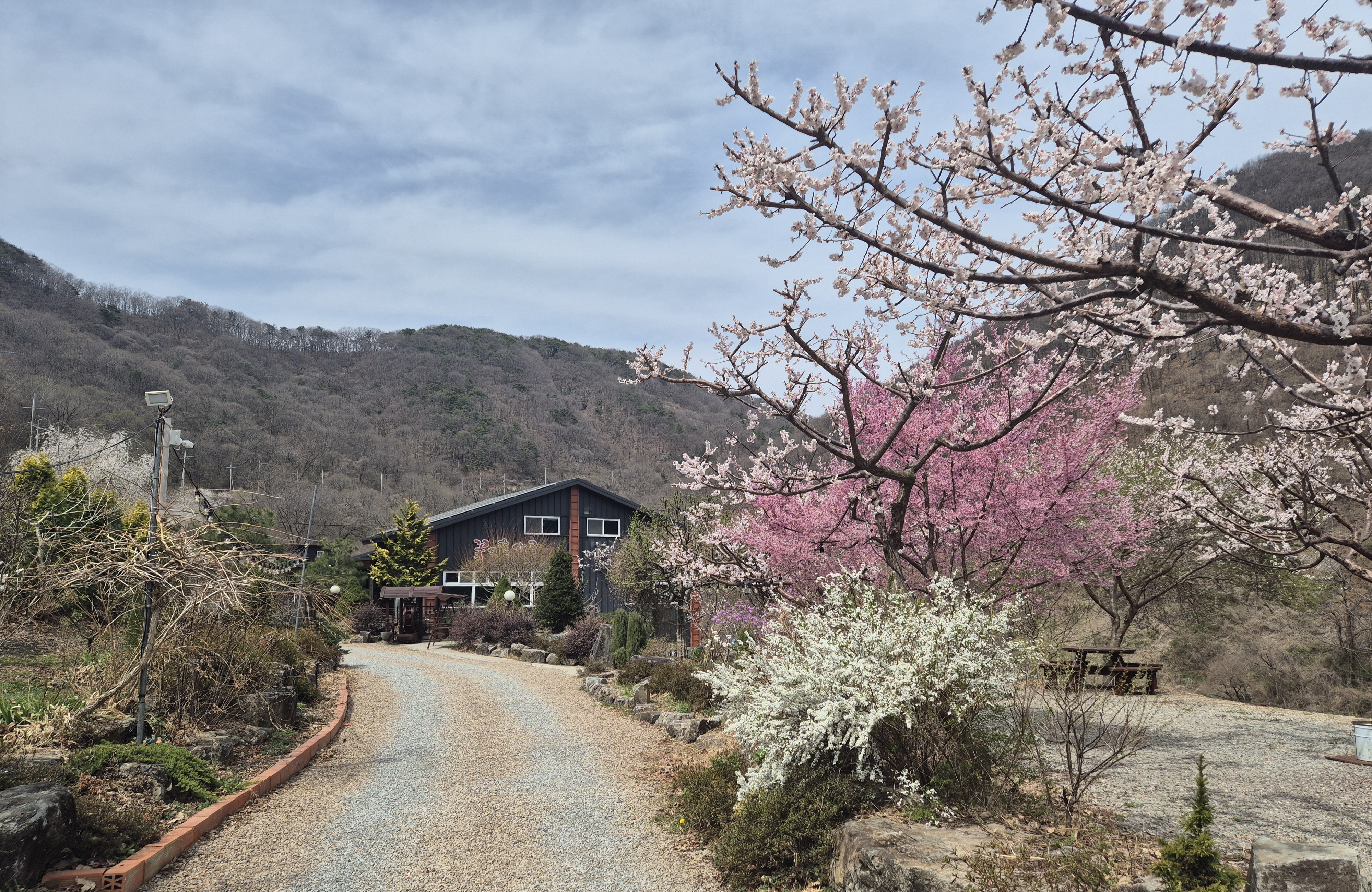 꽃피는산골