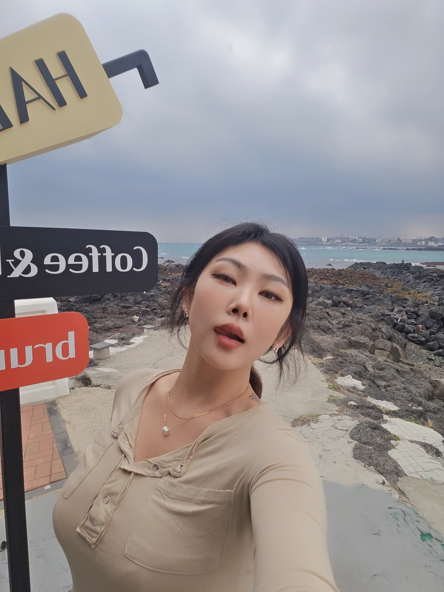 하담