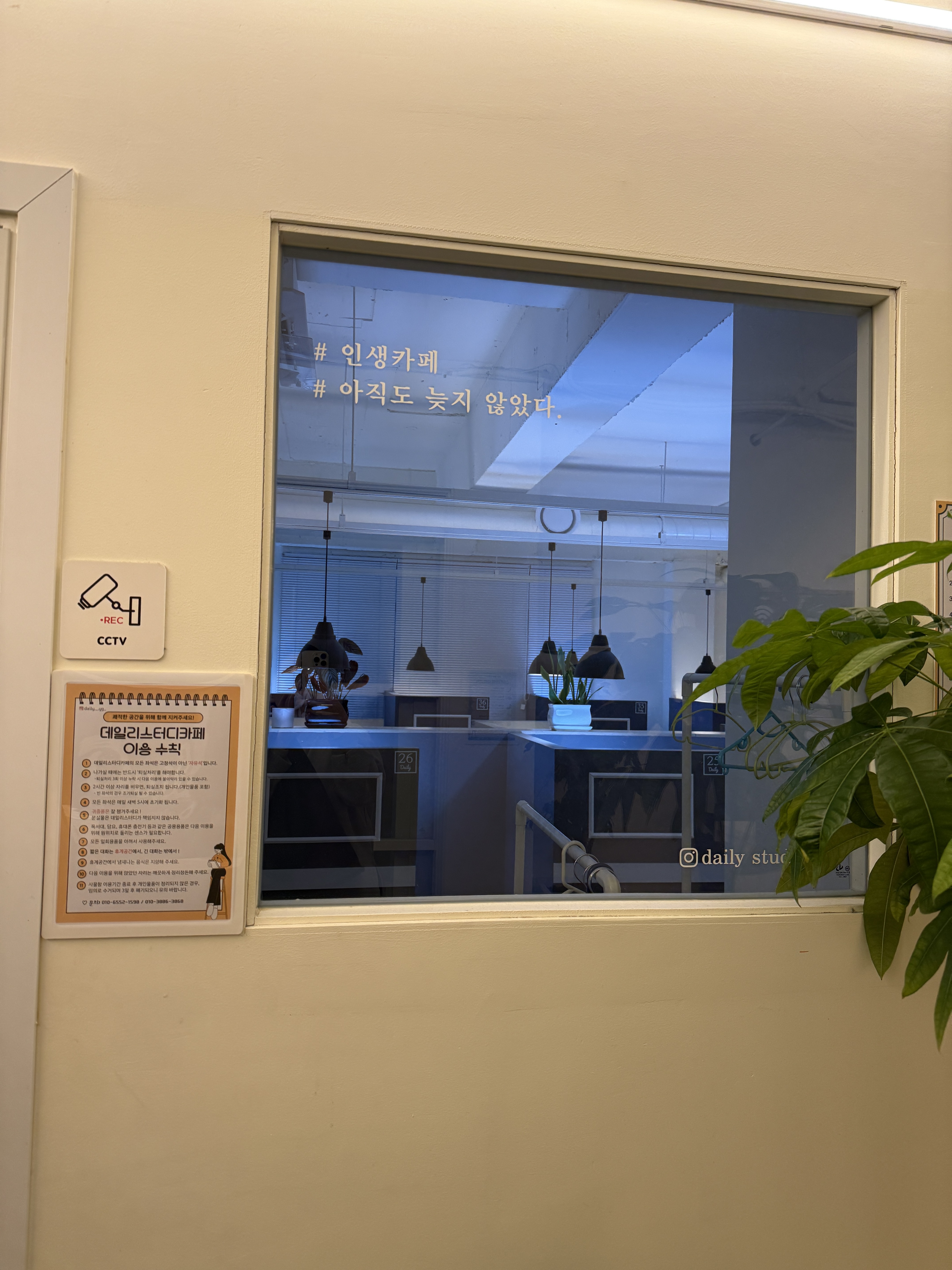 업체사진