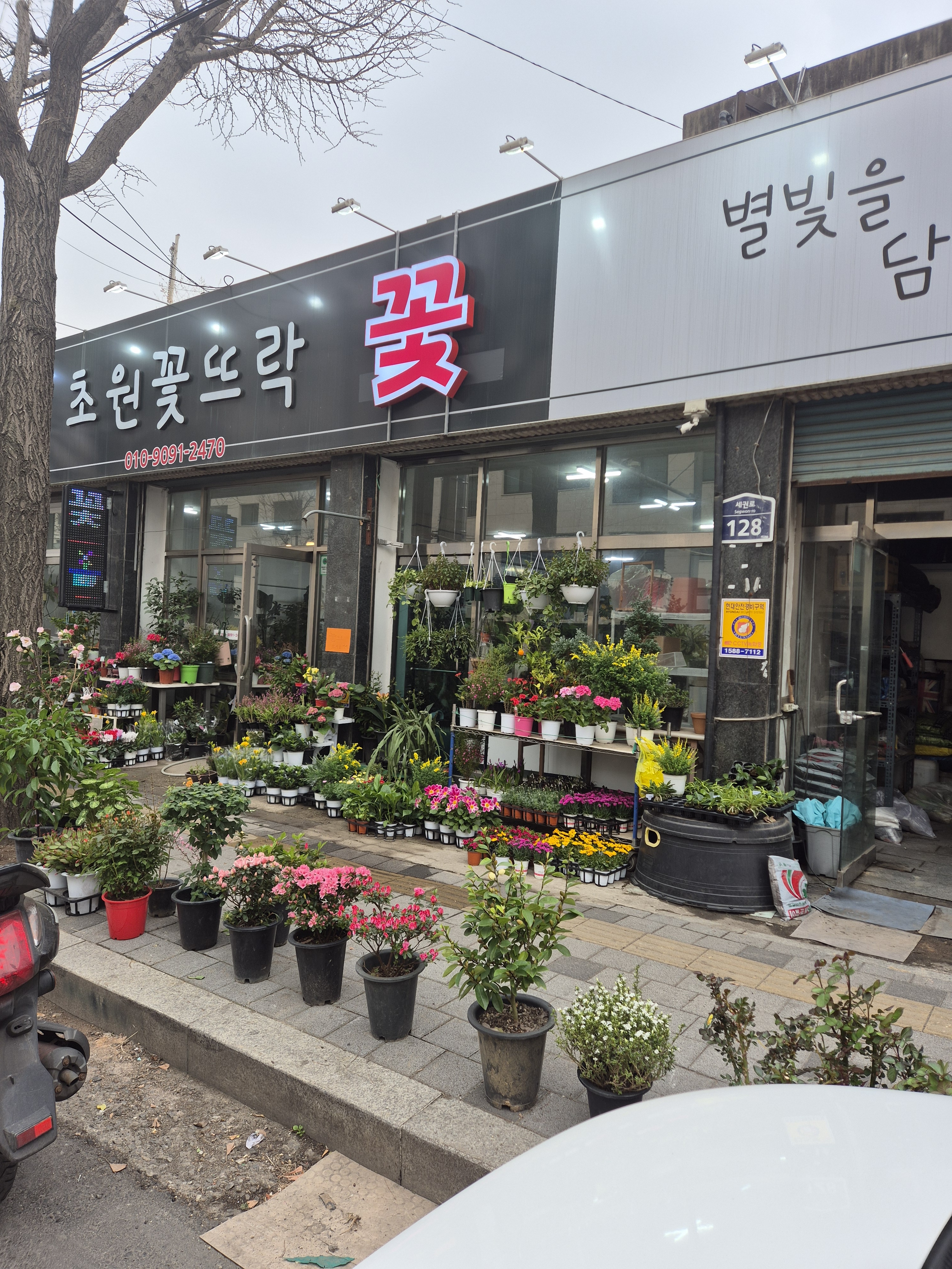 초원꽃뜨락