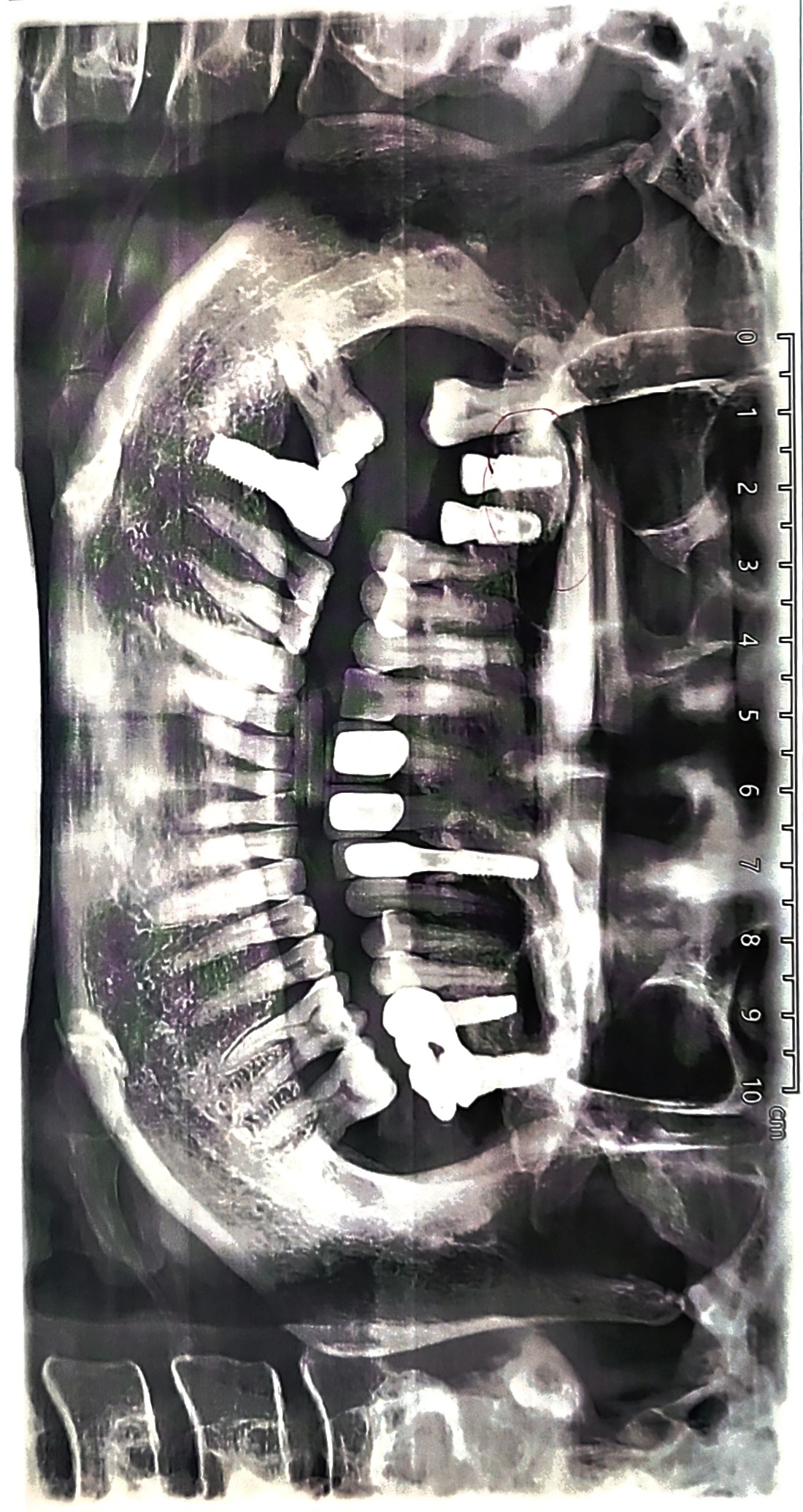 e-아름다운치과의원 대표 이미지