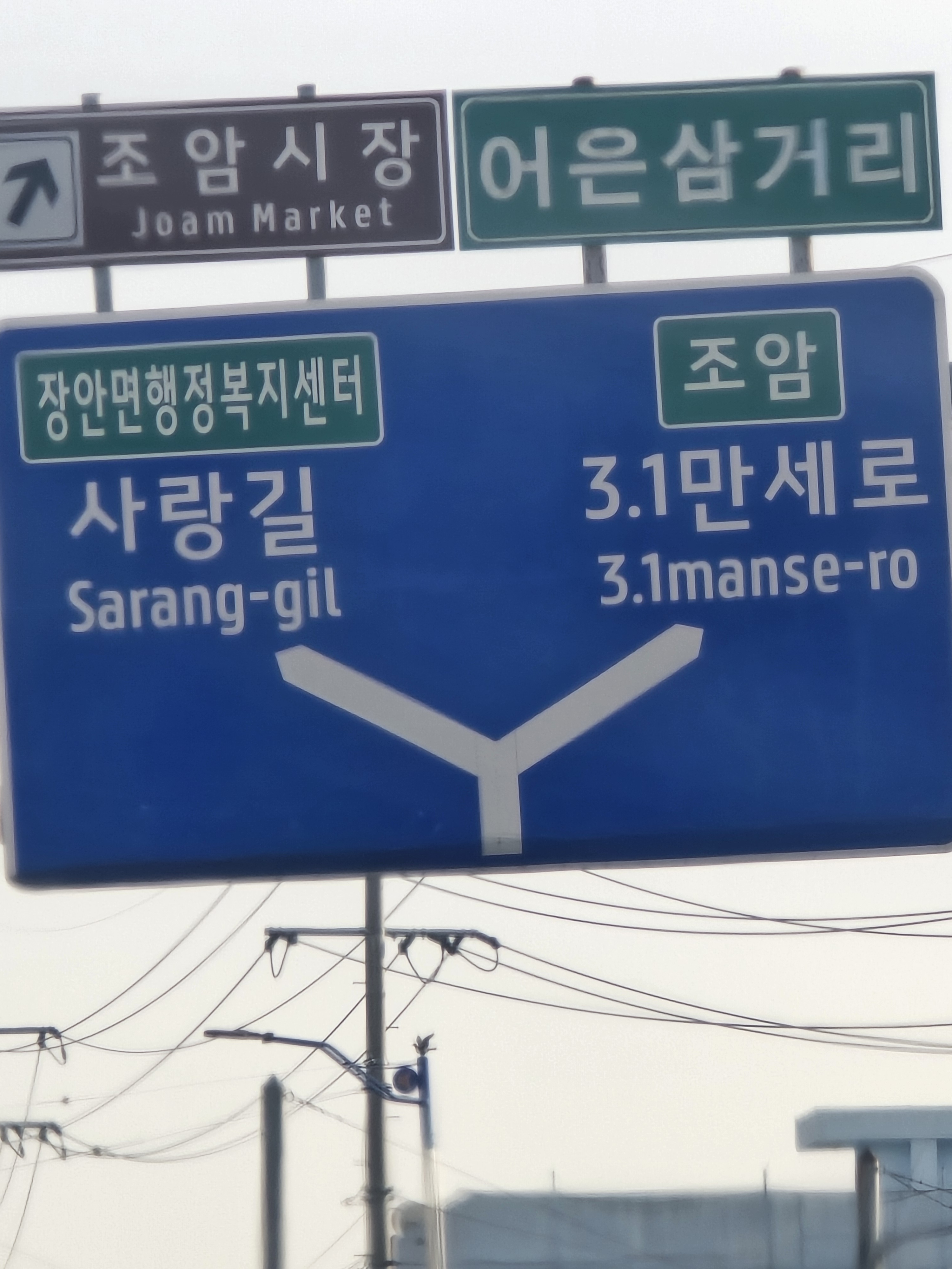 연가s.꼬막짬뽕