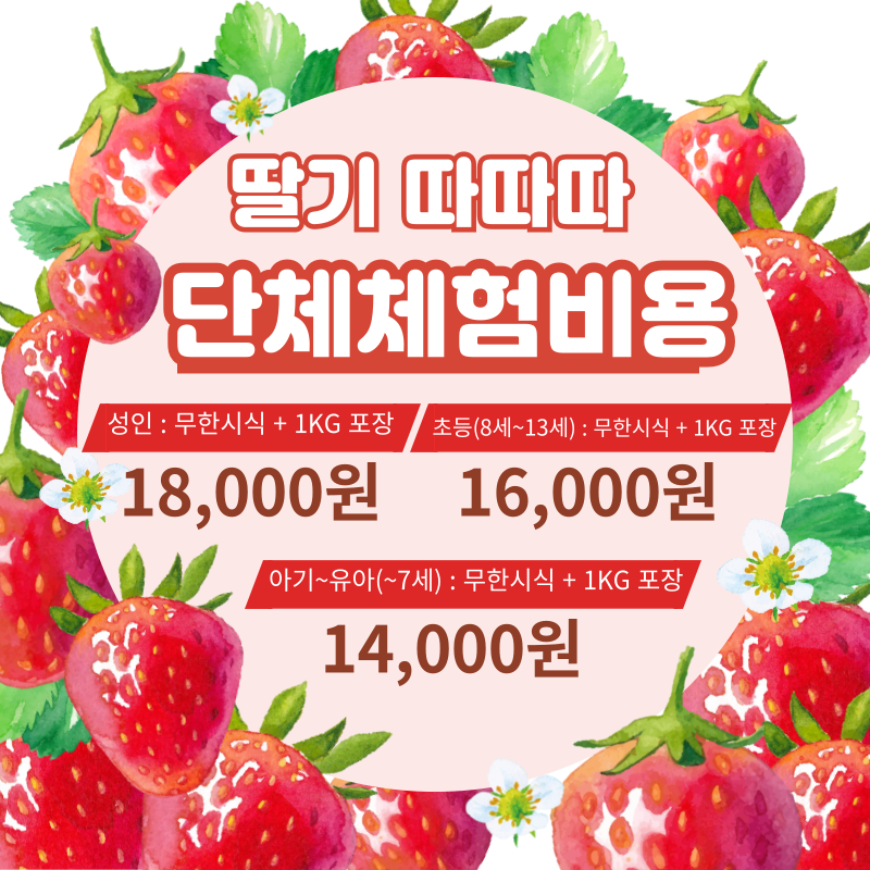 딸기 따따따