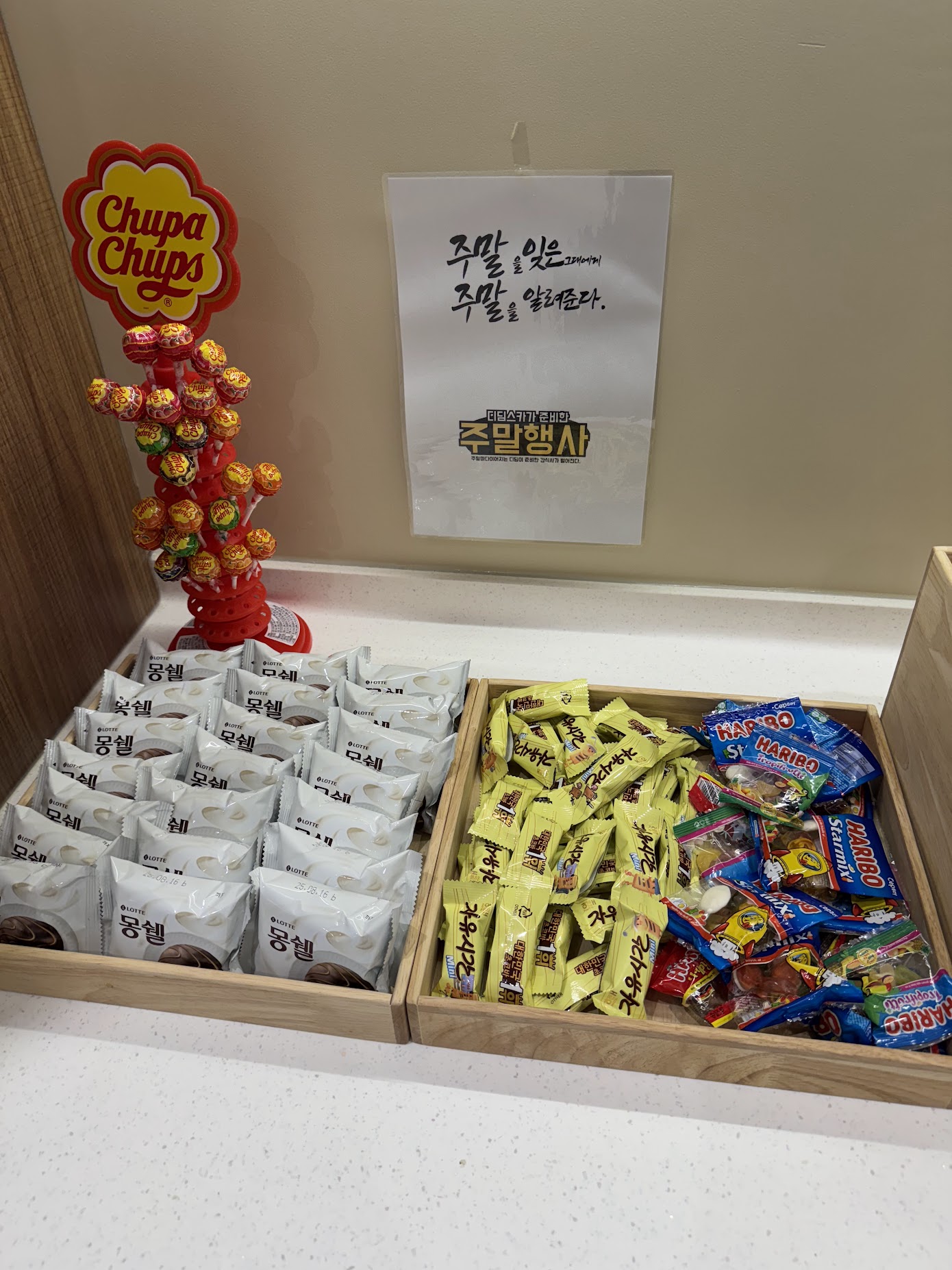 업체사진