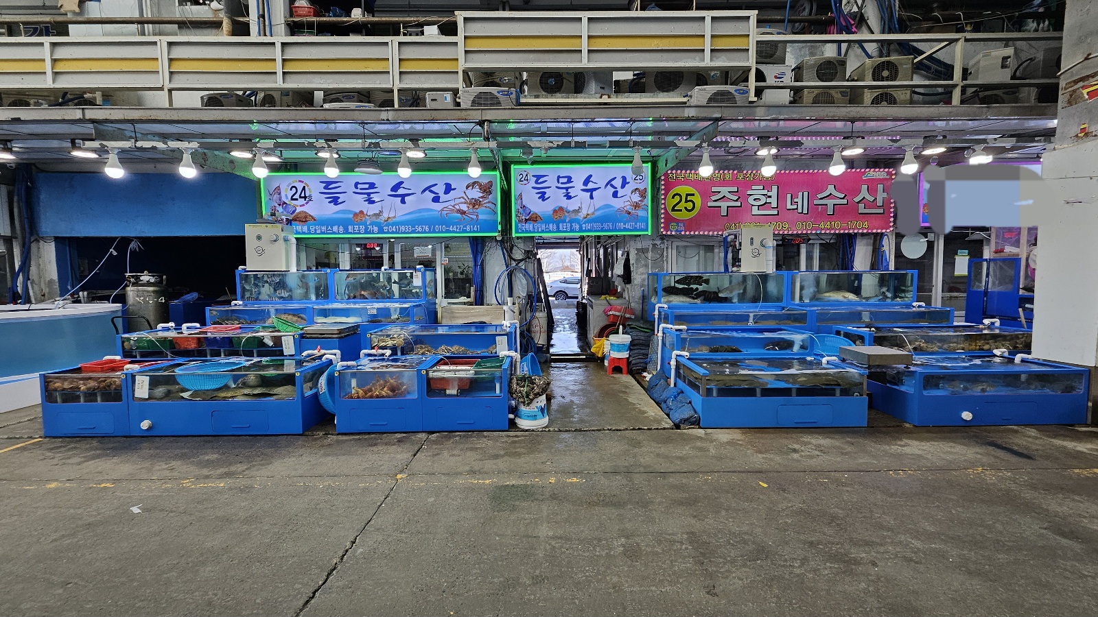 들물수산