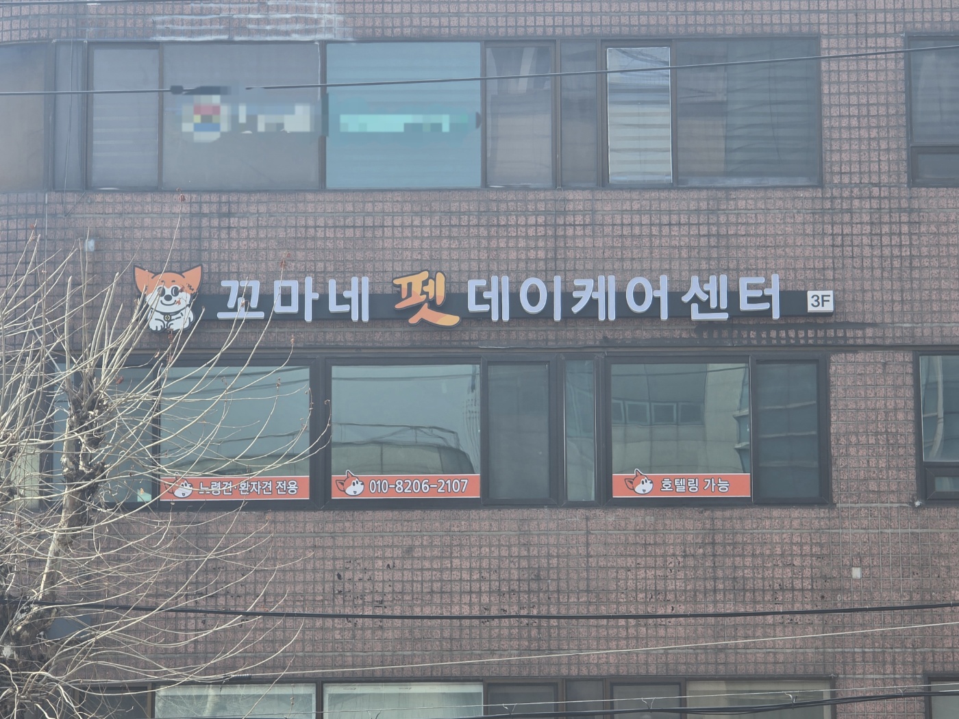 꼬마네펫 대표 이미지