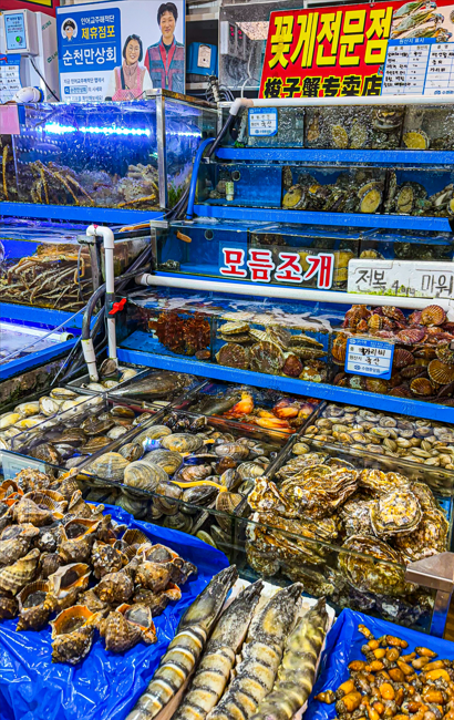 순천만