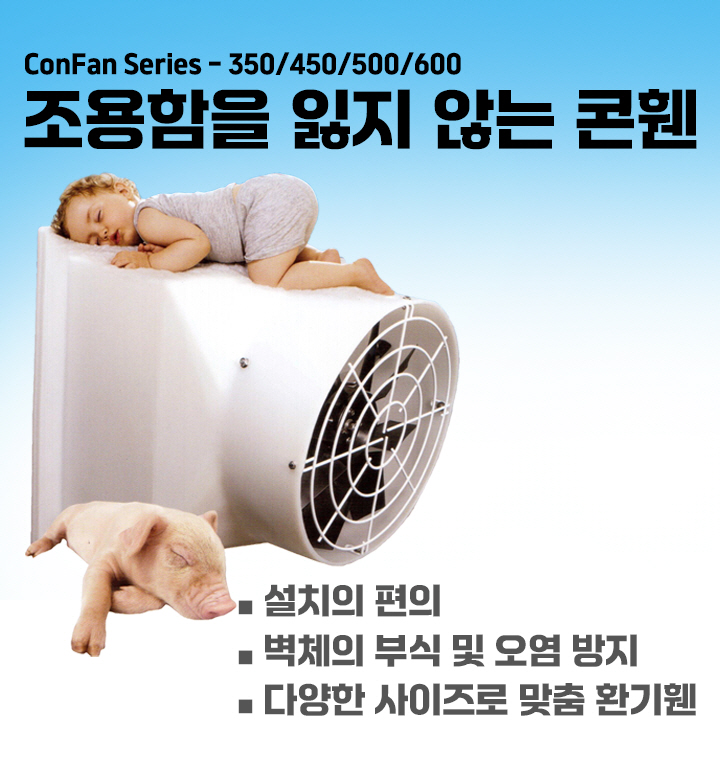 황금티티에스