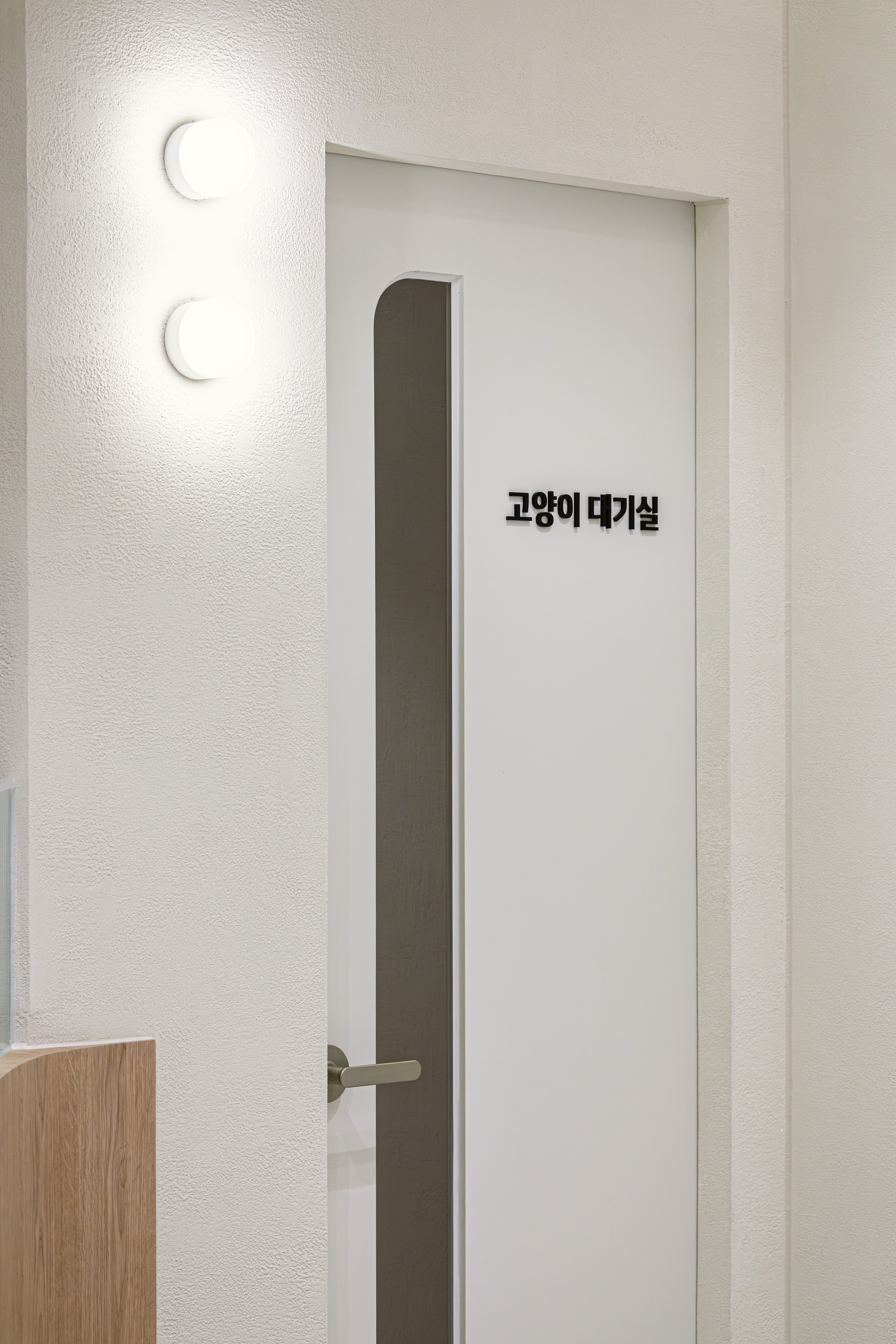 오디세이동물심장내과 의료장비