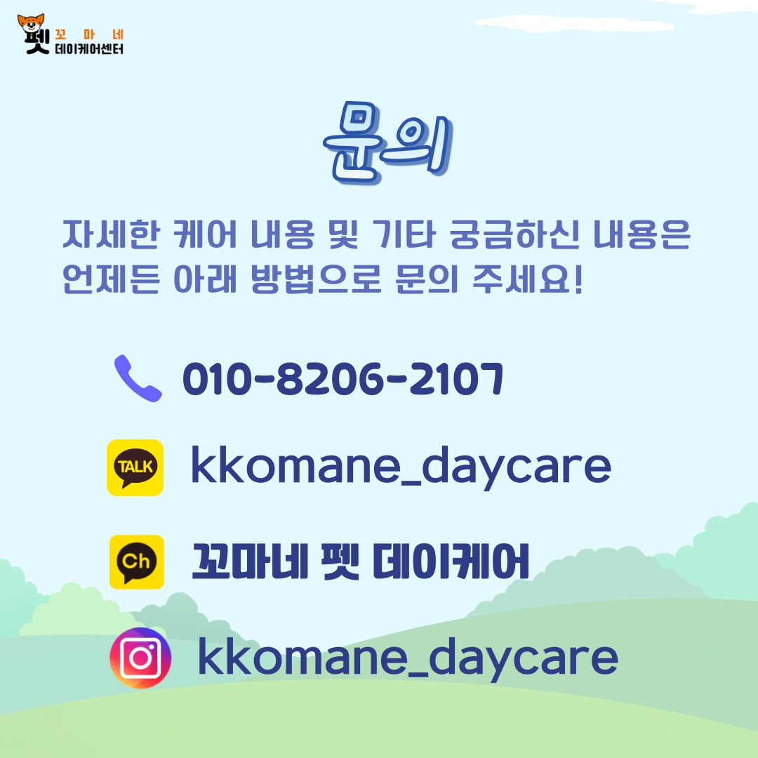 꼬마네 펫 데이케어센터 이미지