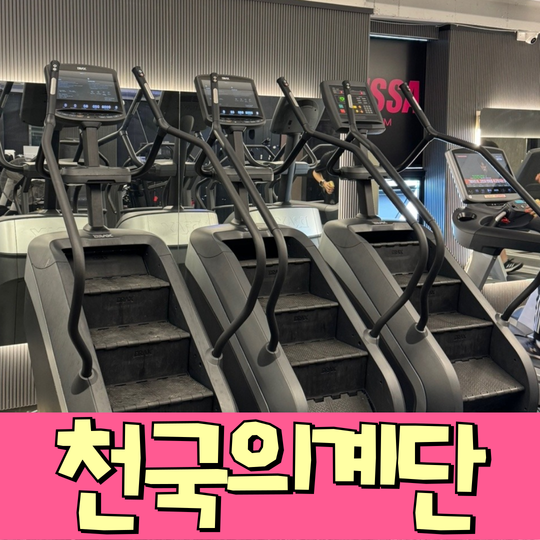 인싸짐 석수점 헬스 PT