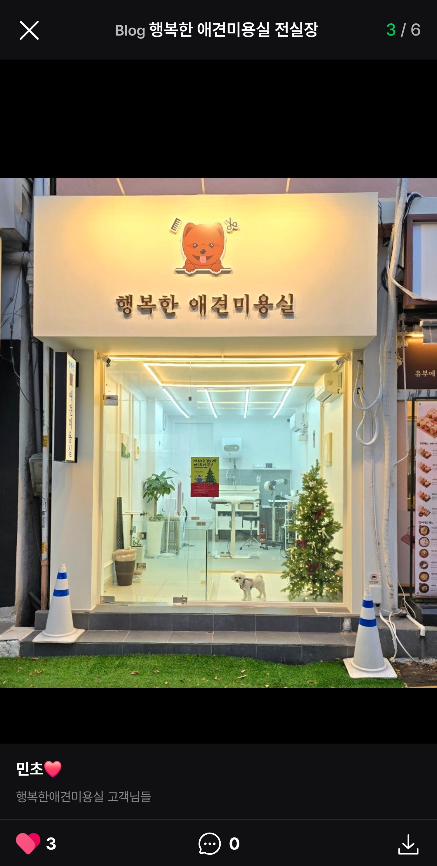 쌍문 행복한애견미용실 대표 이미지