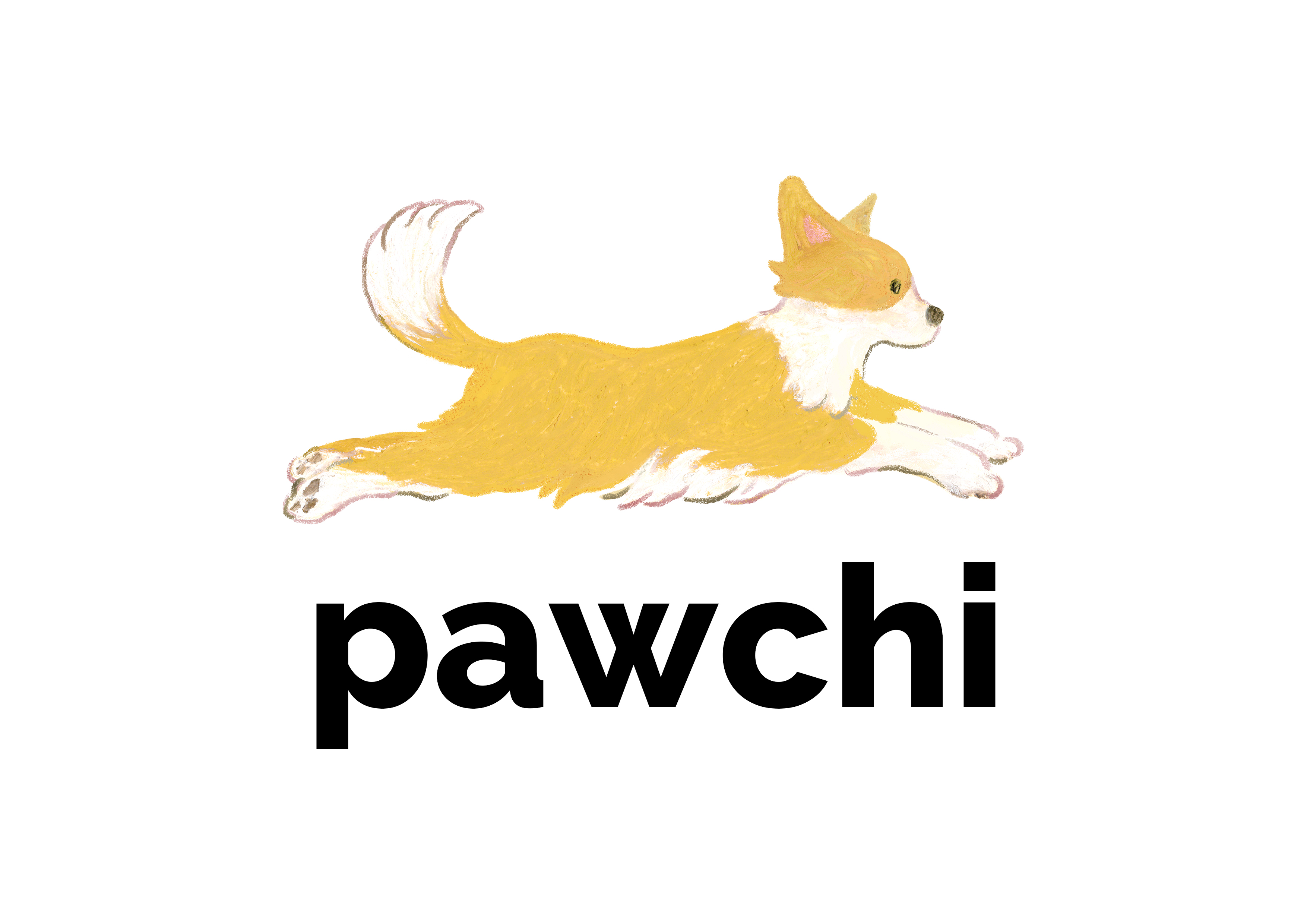 파우치보험준비법인 대표 이미지