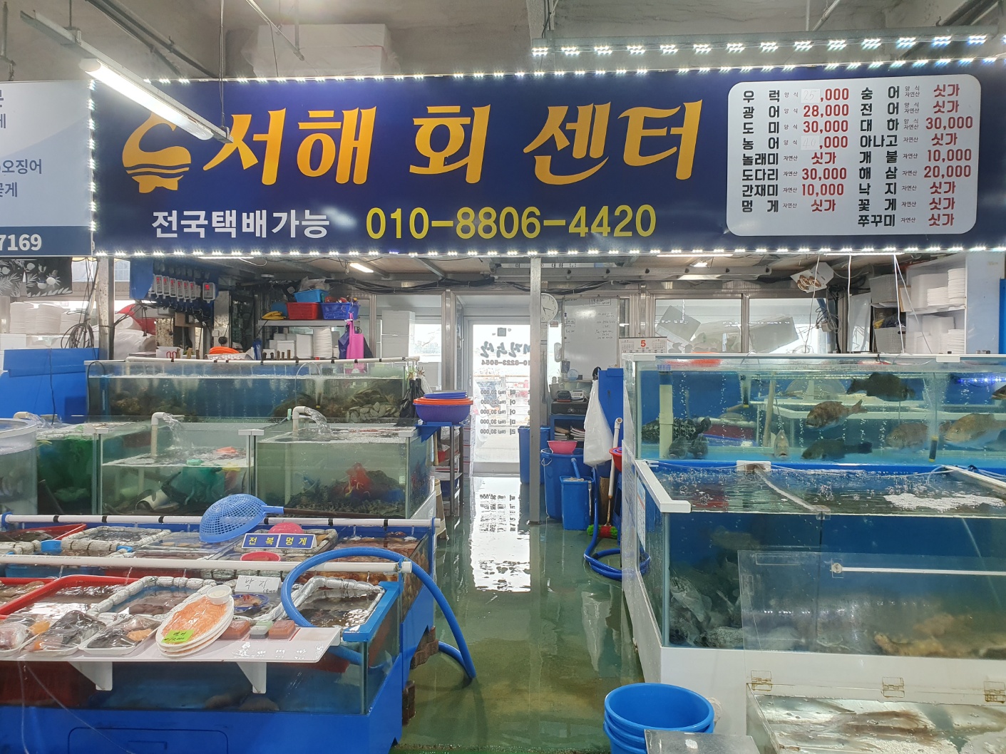서해회센터.삼길포