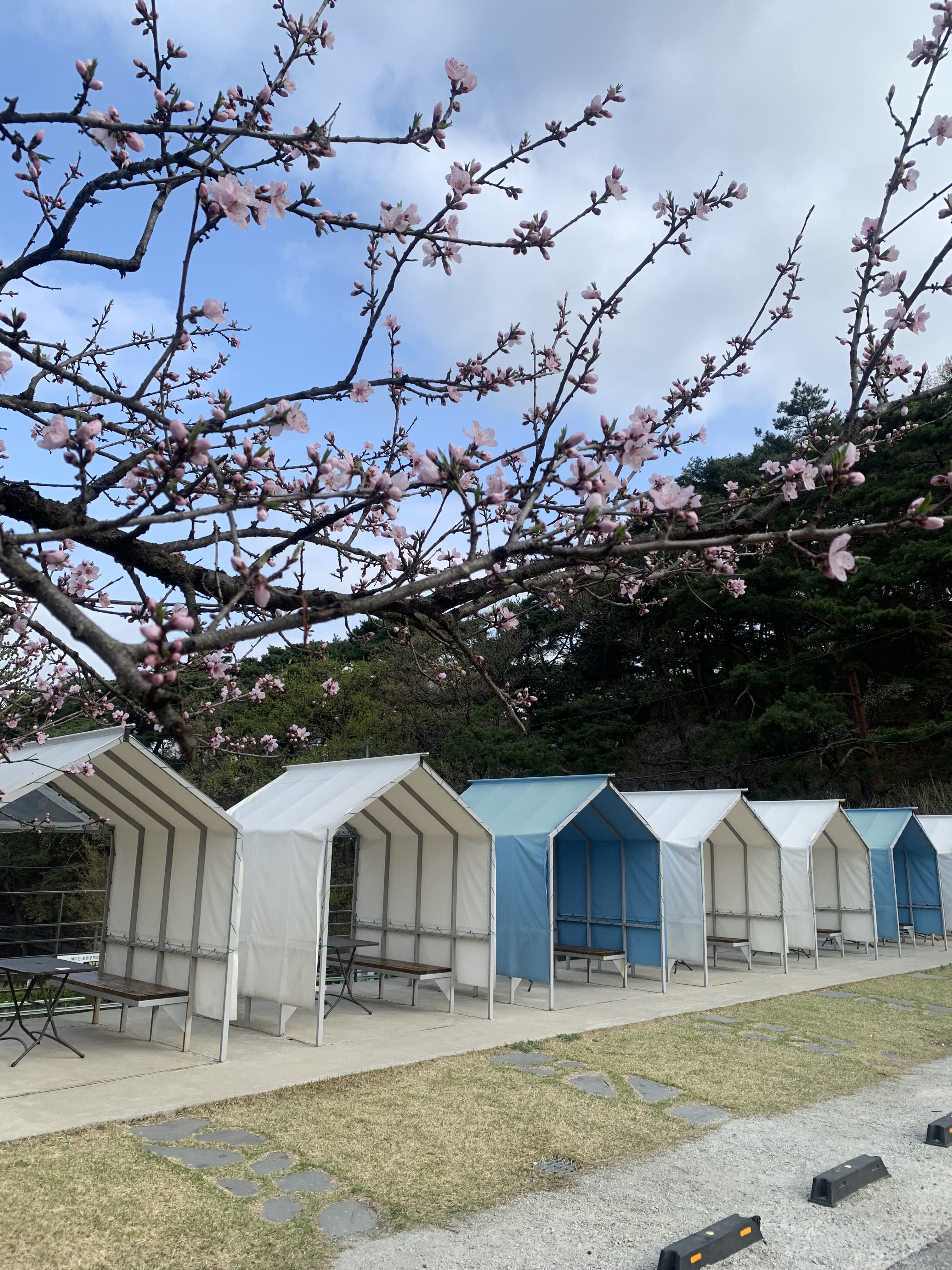 카페 수피다