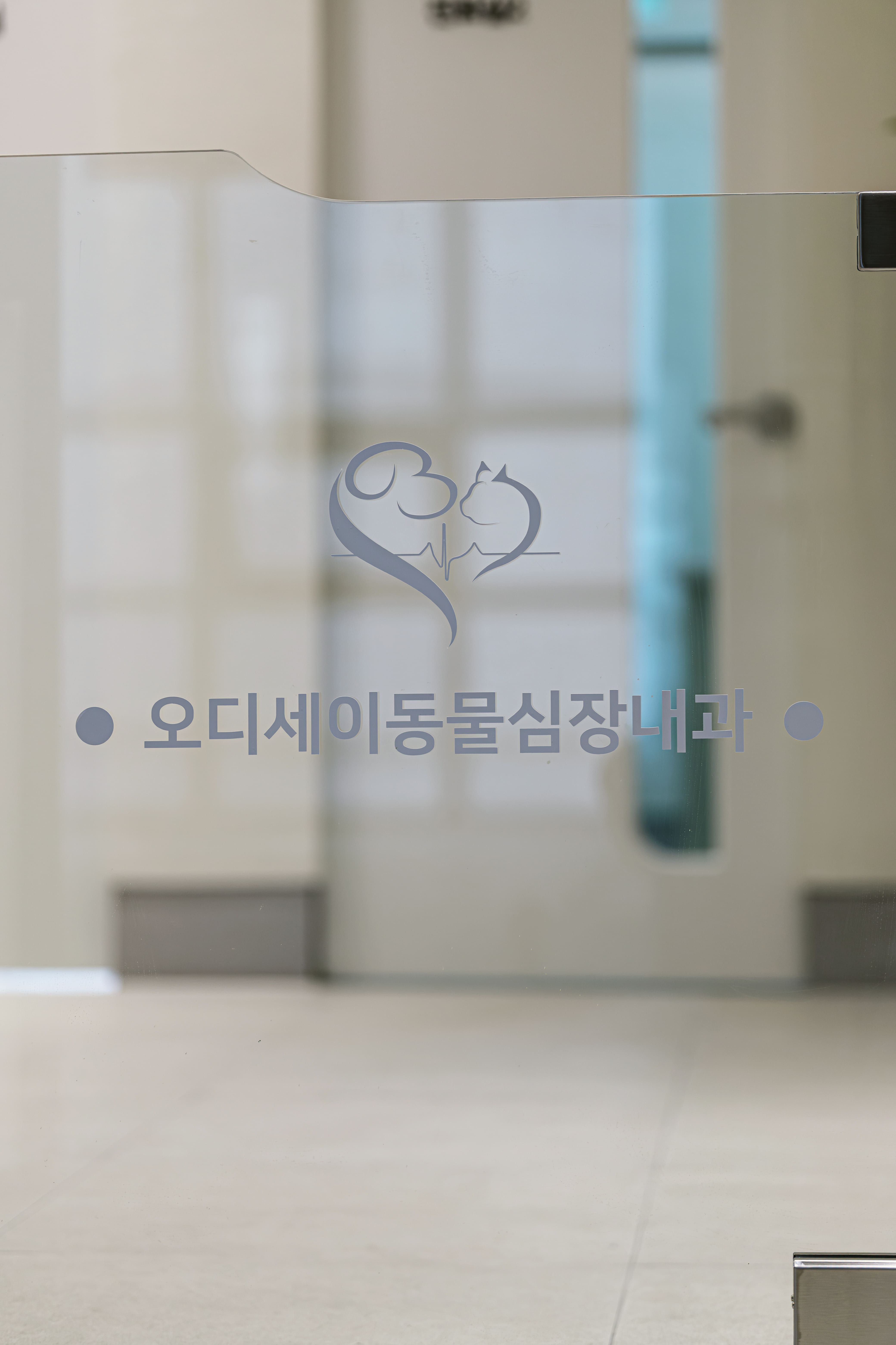 오디세이동물심장내과 대표 이미지