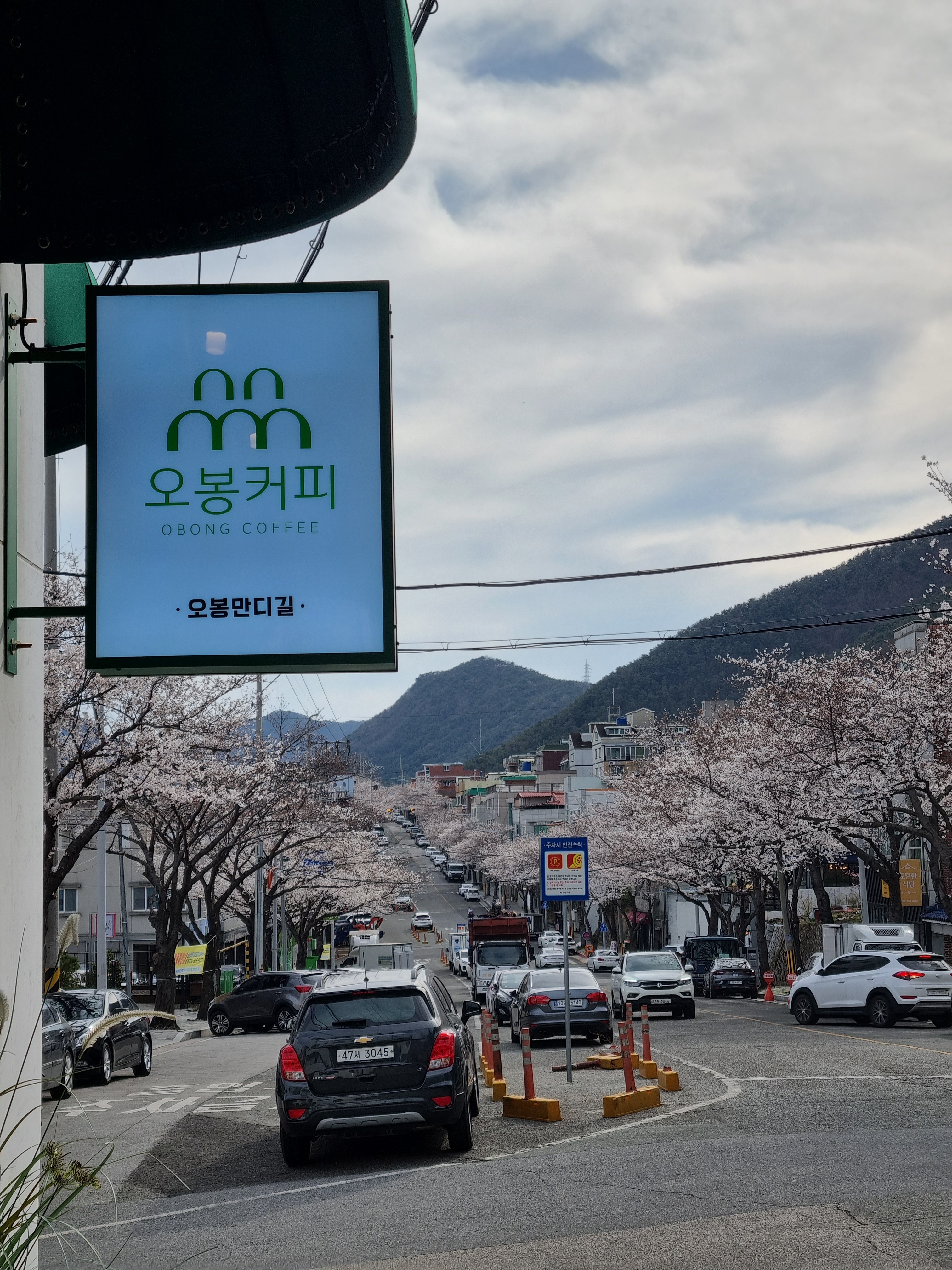 오봉커피