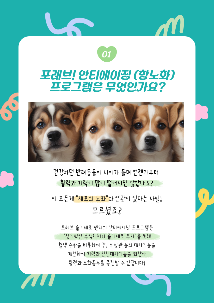 포레브동물의료센터 대표 이미지