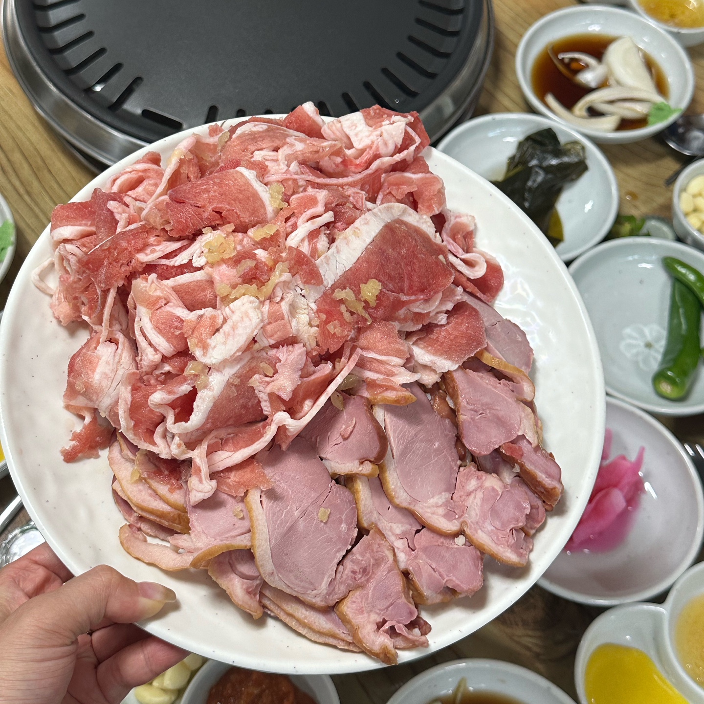 남강오리