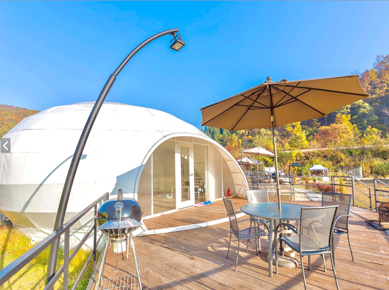 뛰어멍 [애견운동장,애견카페] 대표 이미지