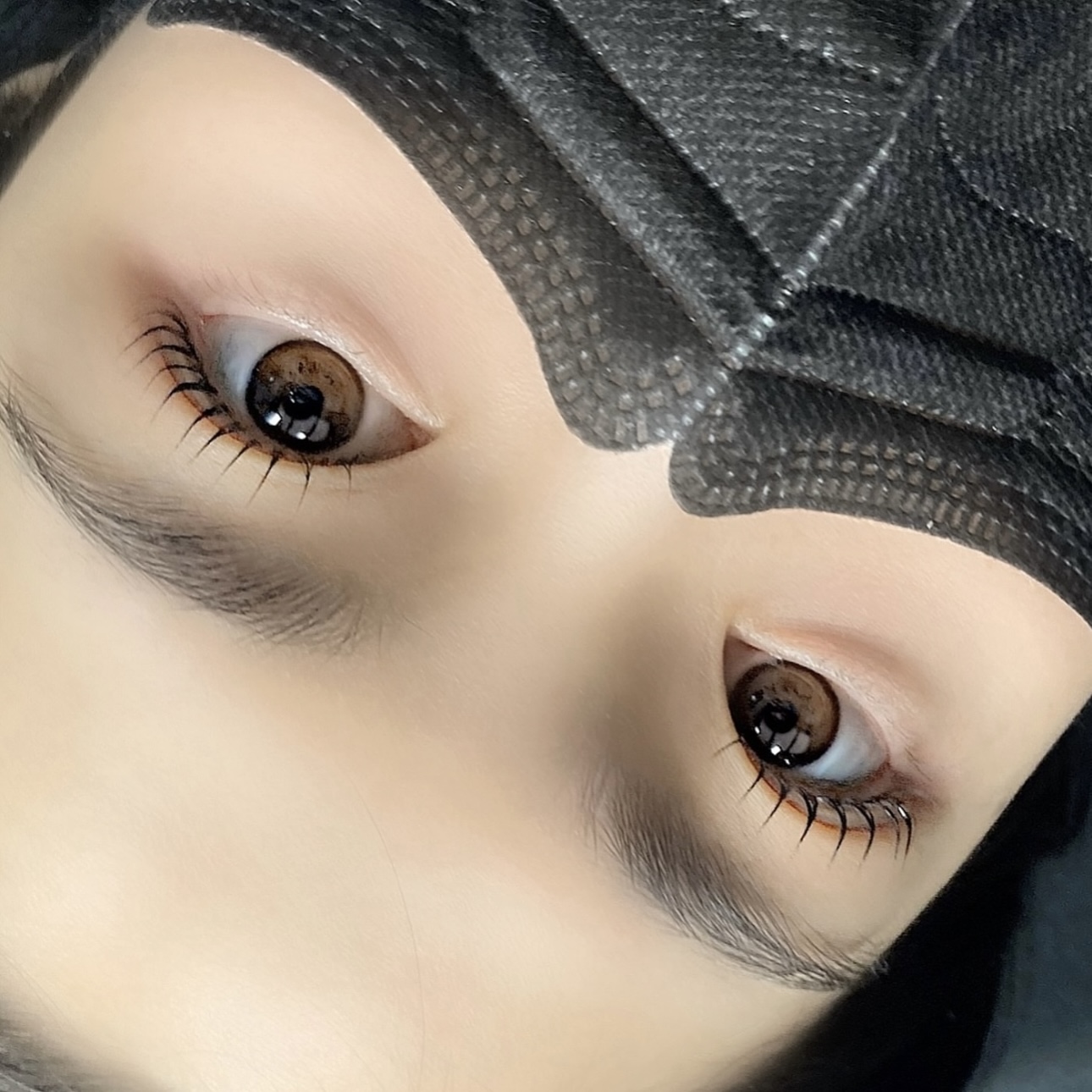 플랑 대표 이미지