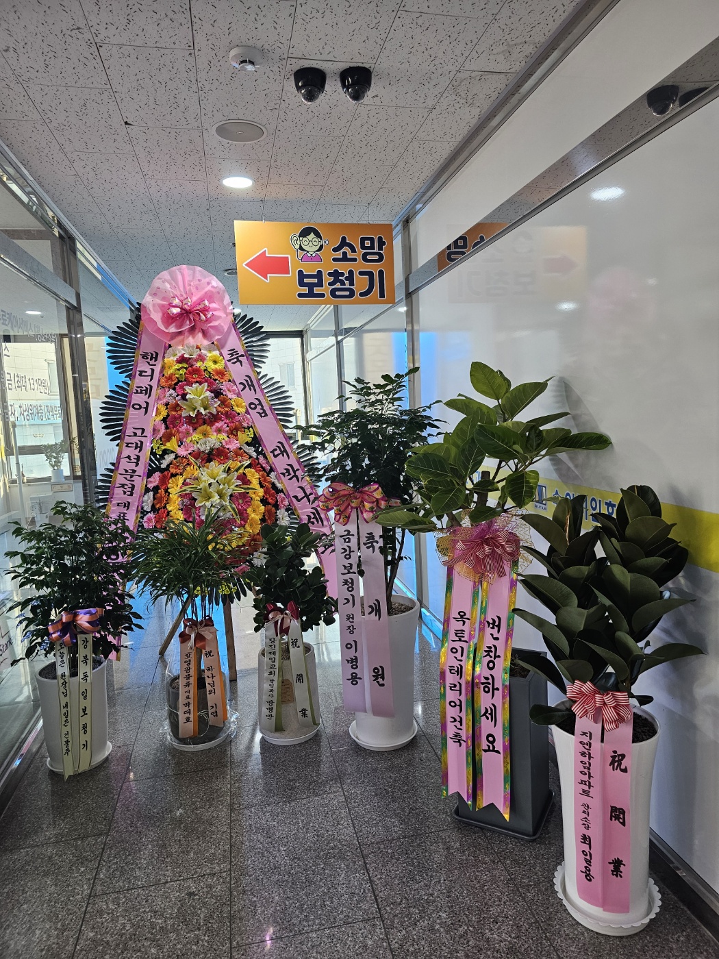 당진 소망보청기 대표 이미지