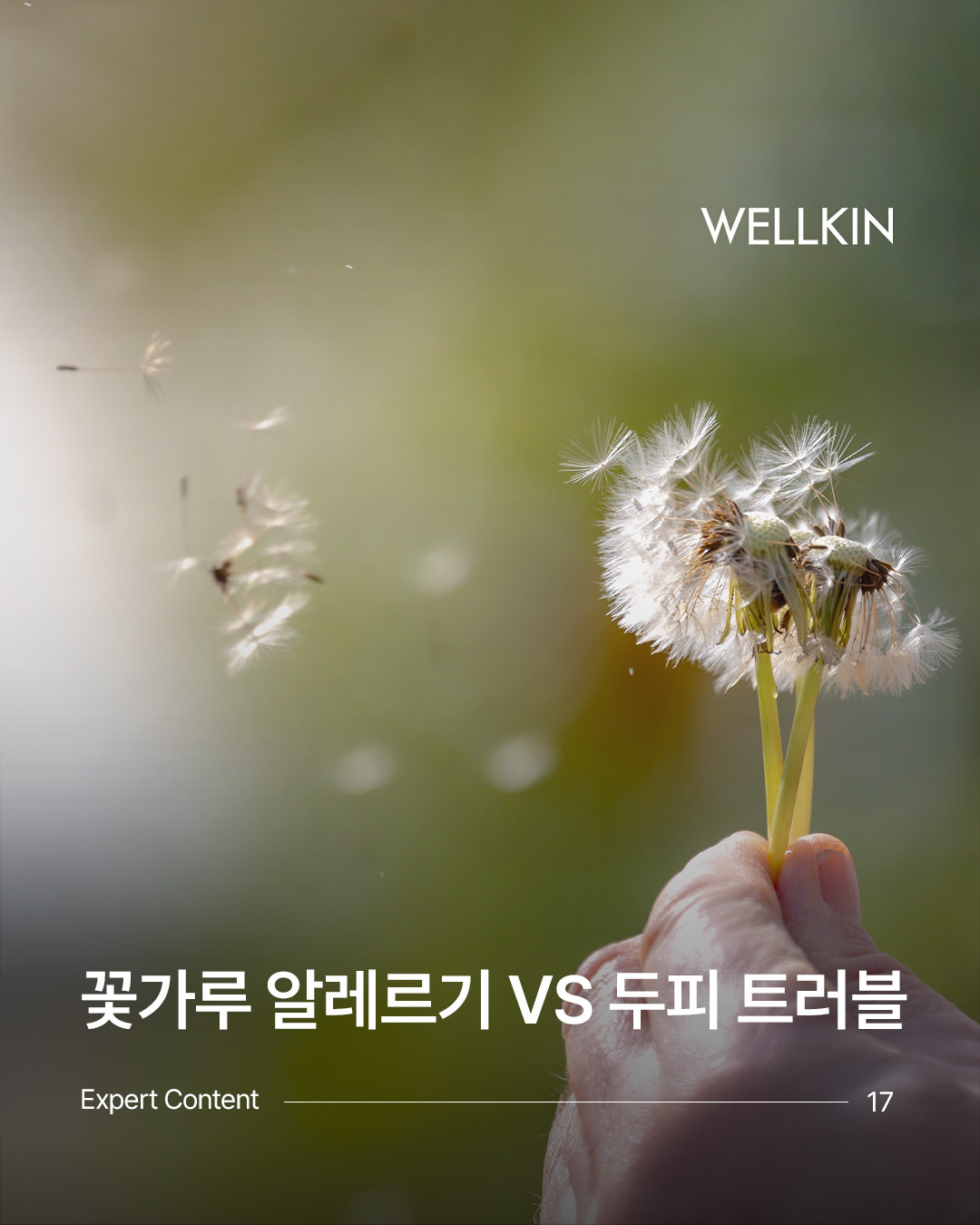 웰킨 두피탈모센터 종로점