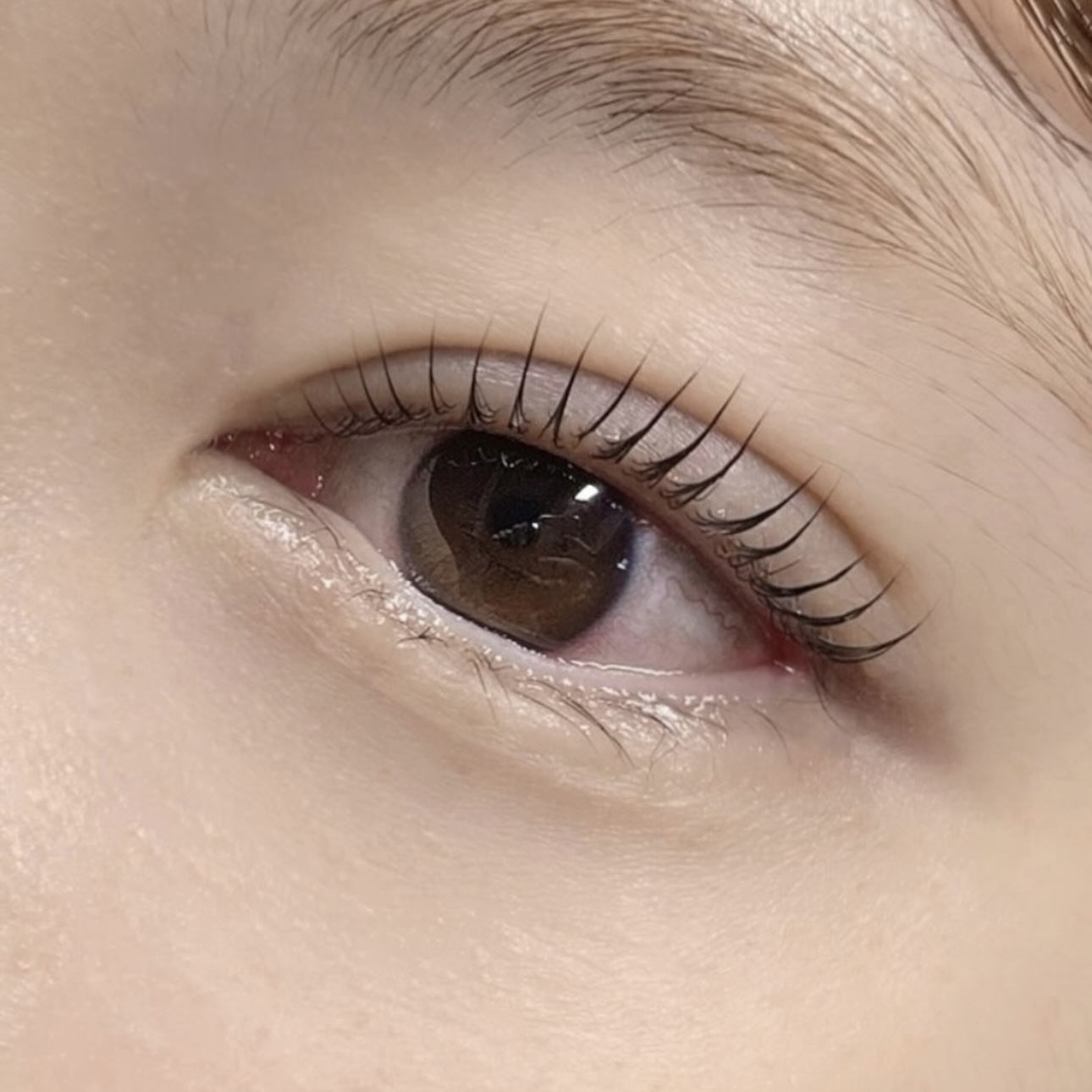 플랑 대표 이미지