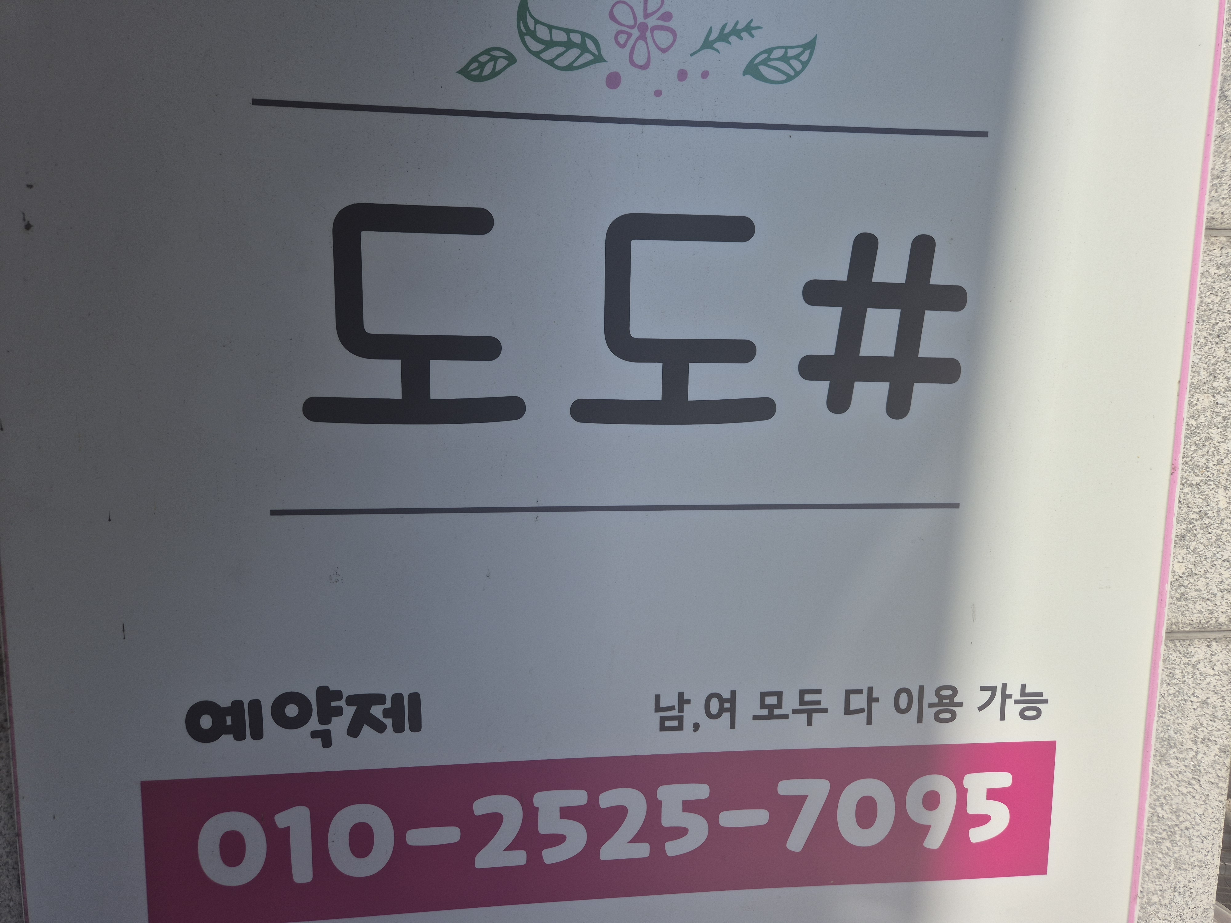 도도 photo 4