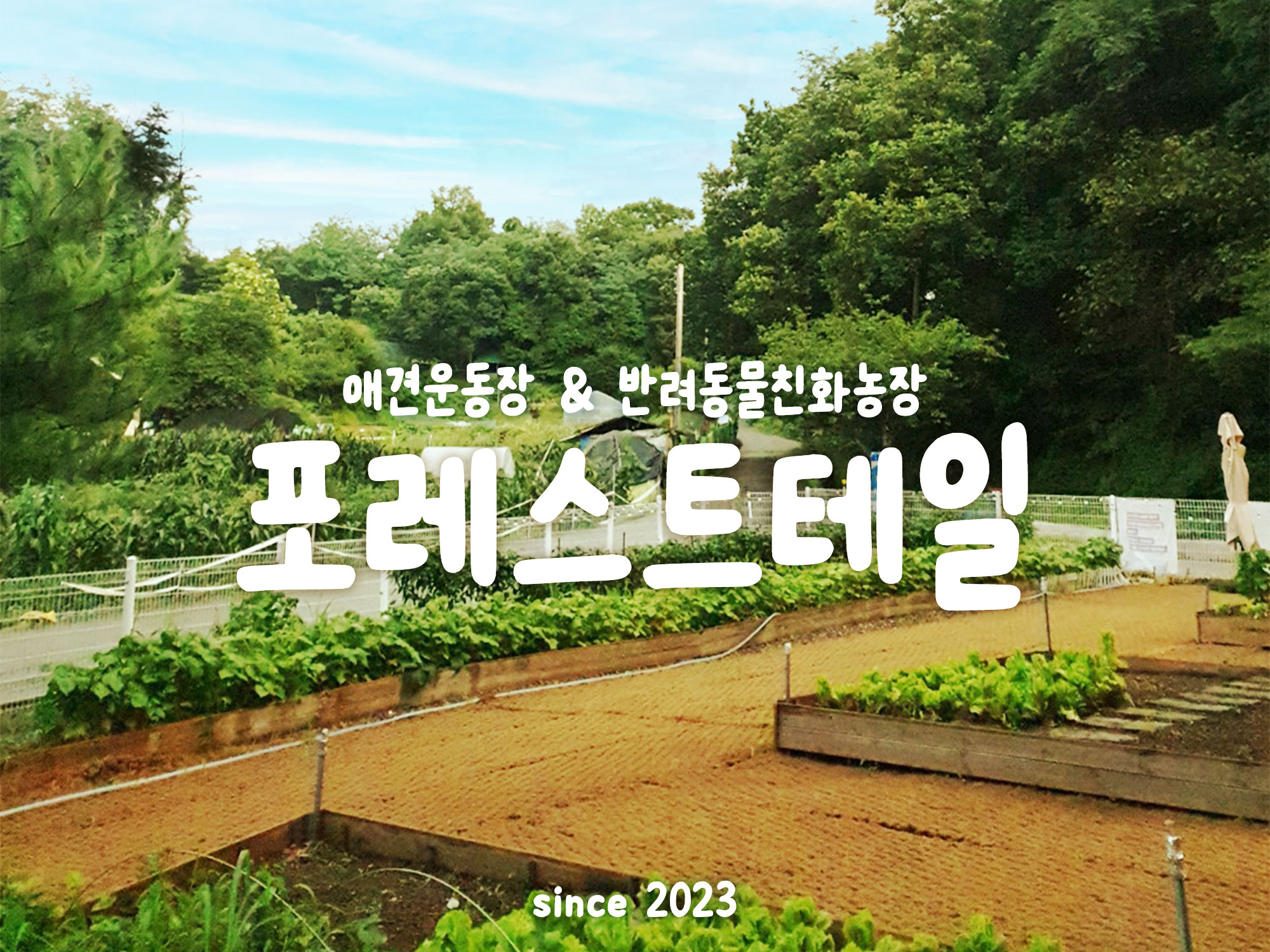 포레스트테일